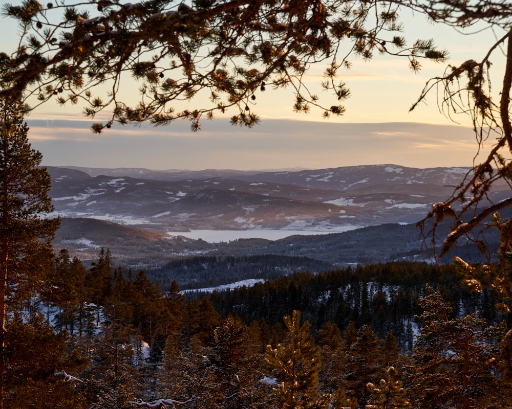 a view of the mountains from a distance