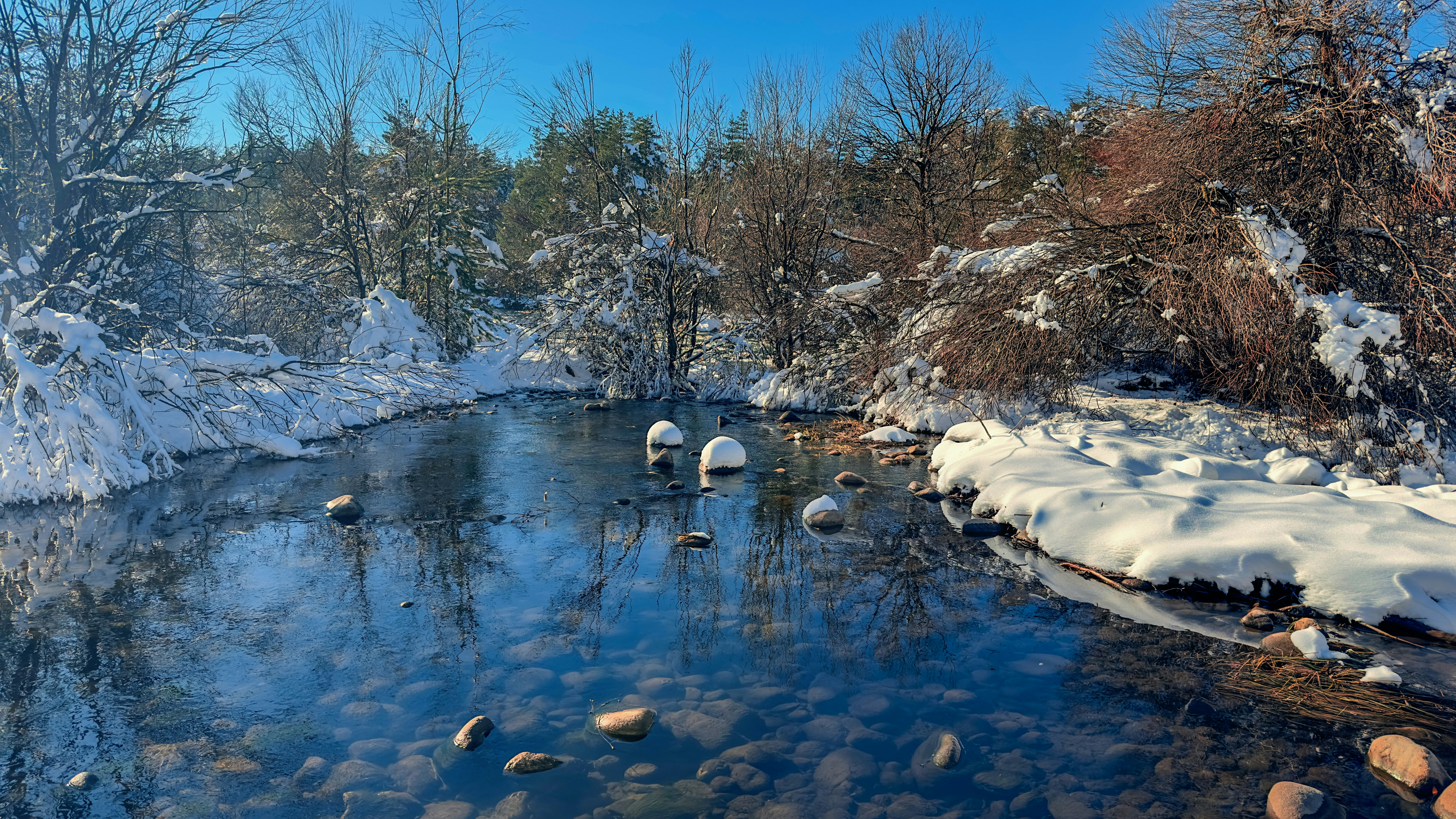 Photo by archange1michael