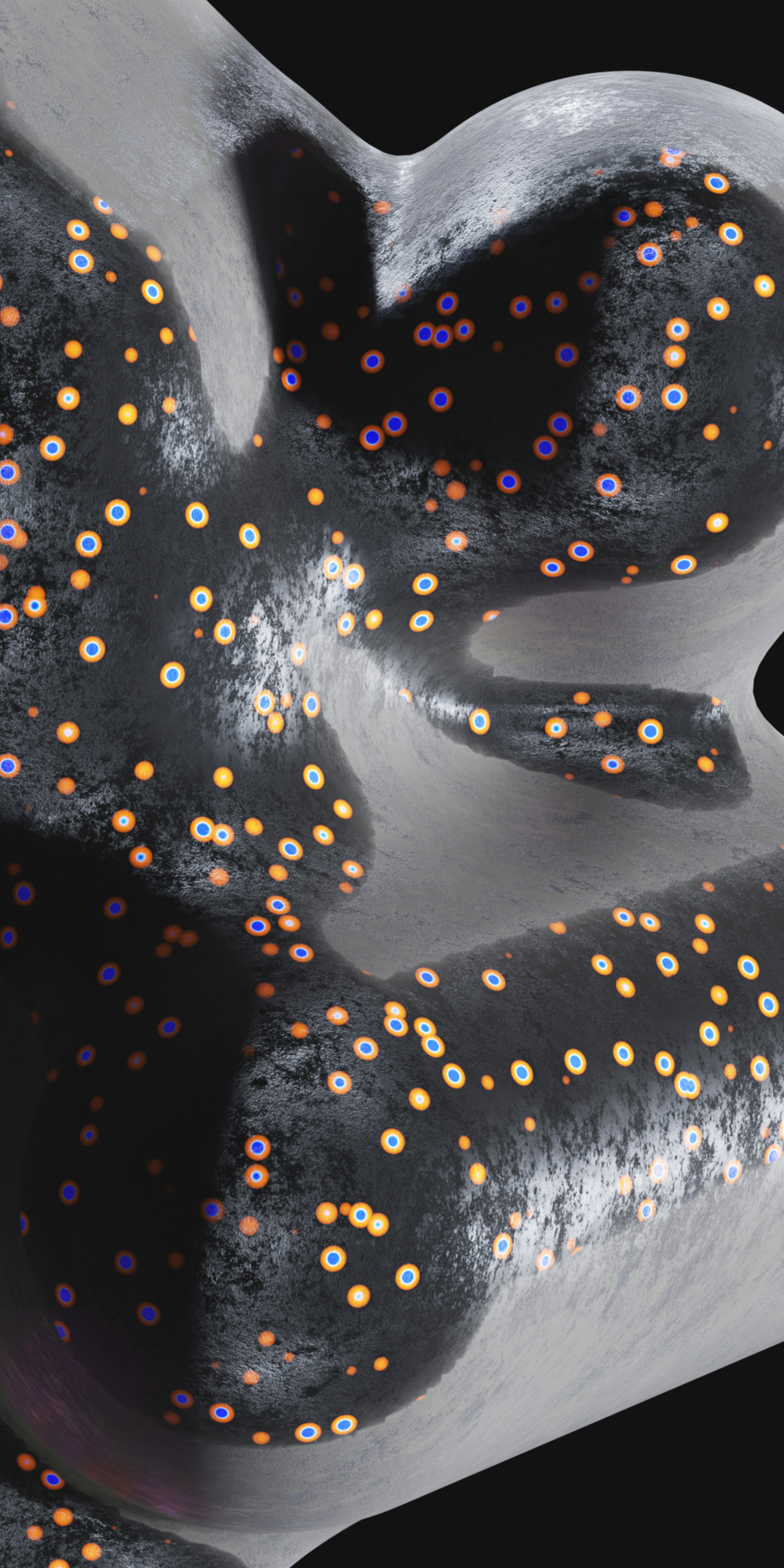 Photo by wallsbysmit