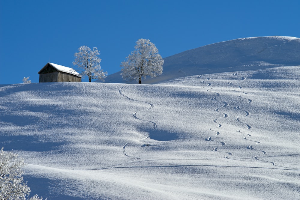 una casa en una colina nevada con huellas en la nieve