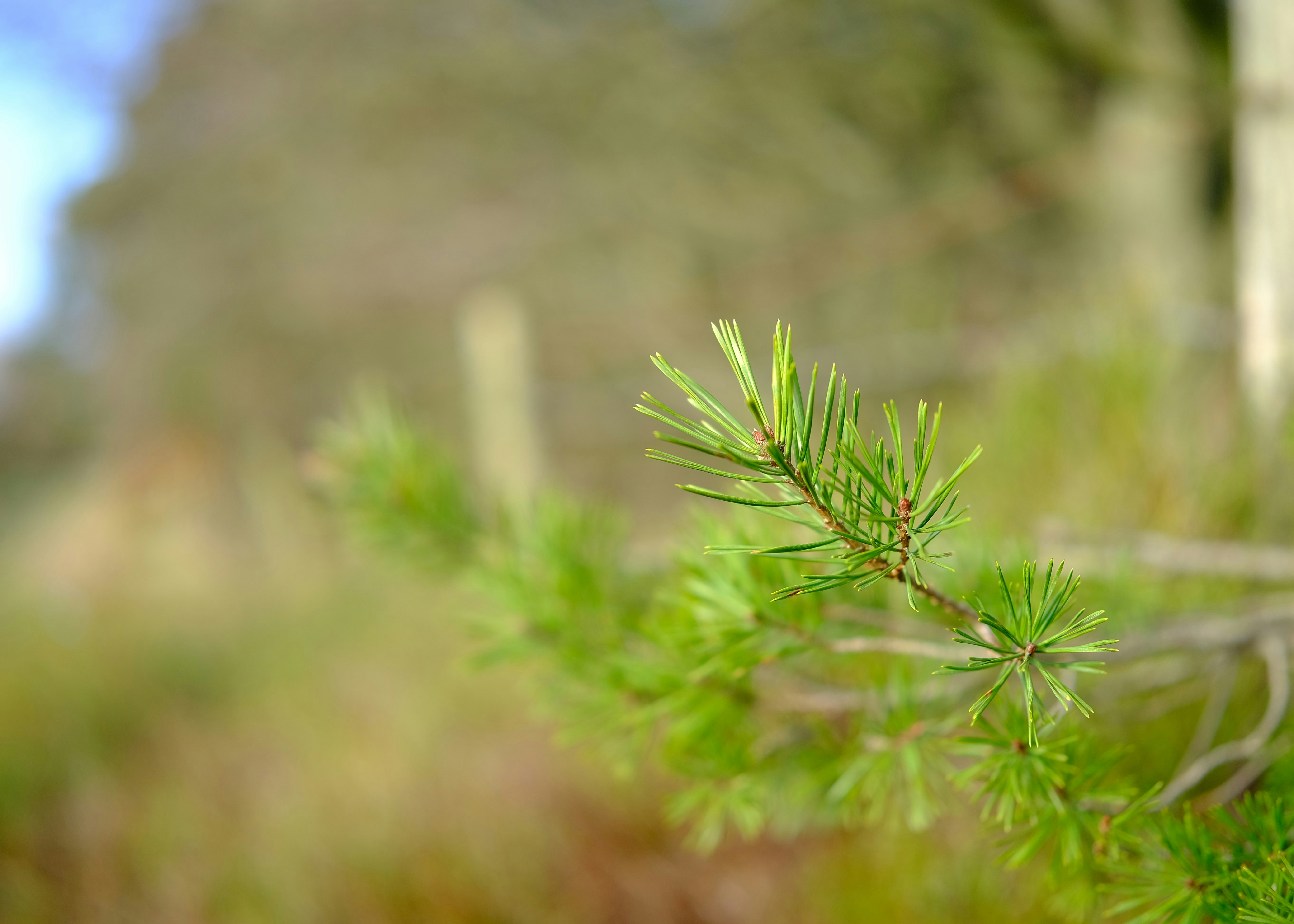 Photo by rory_tucker_photography