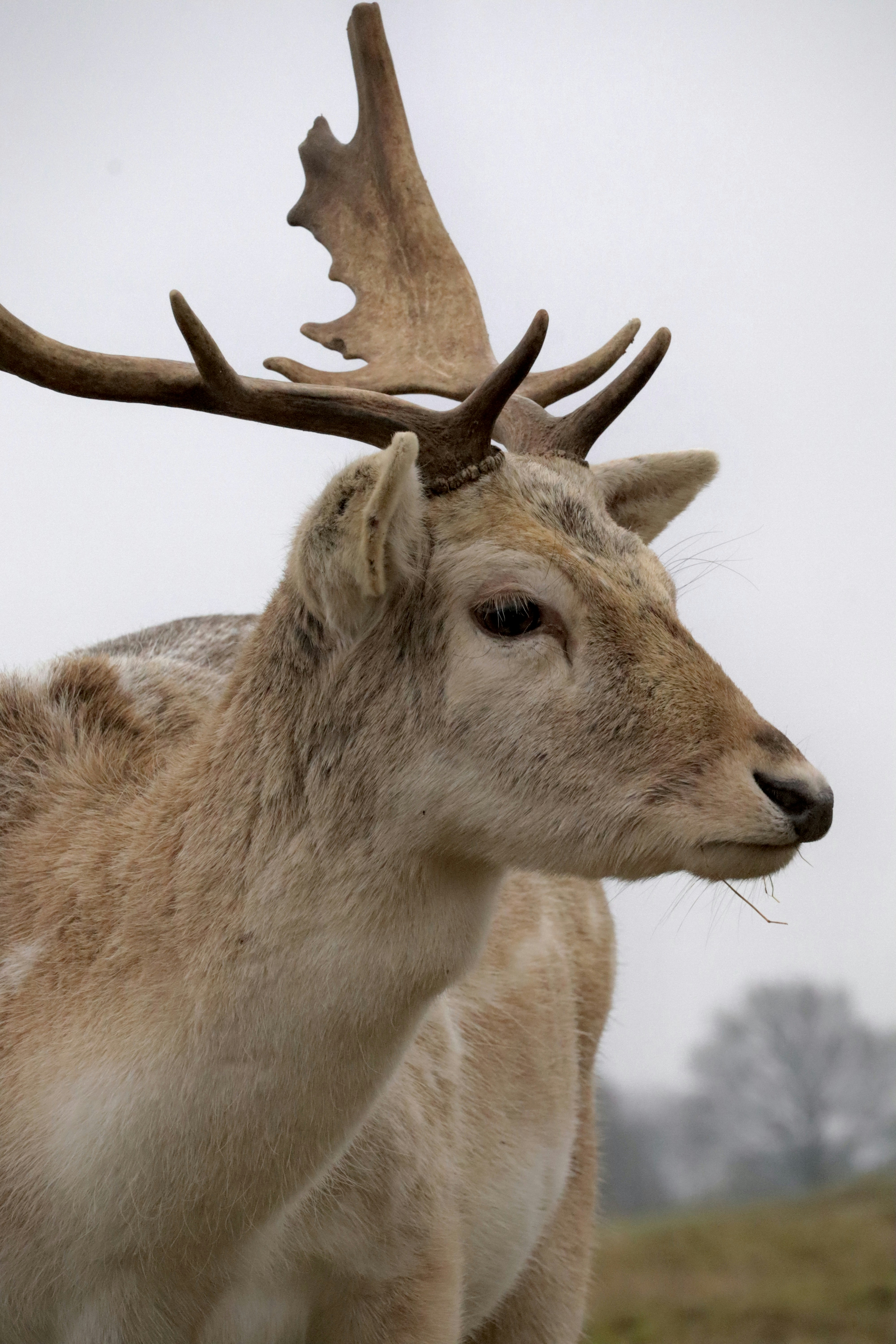 Photo by johnnygthorpe11