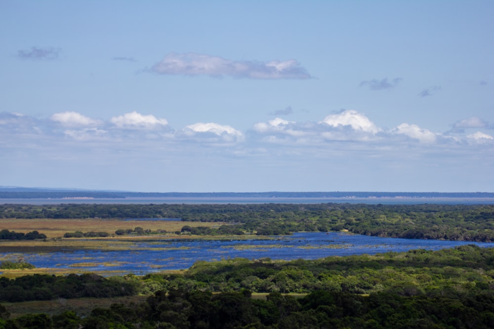 a large body of water surrounded by lush green trees