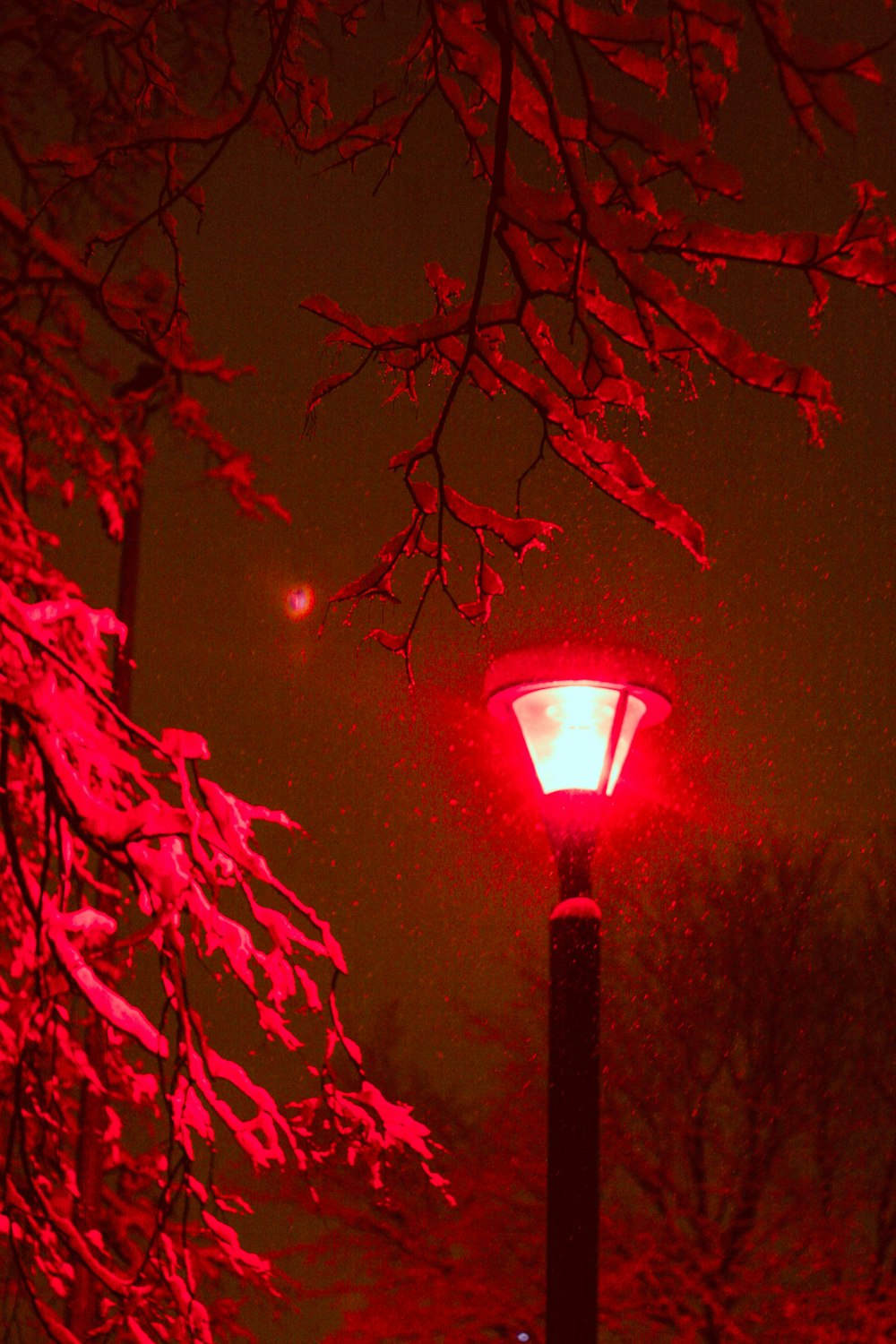 a red street light in the middle of a snowy night