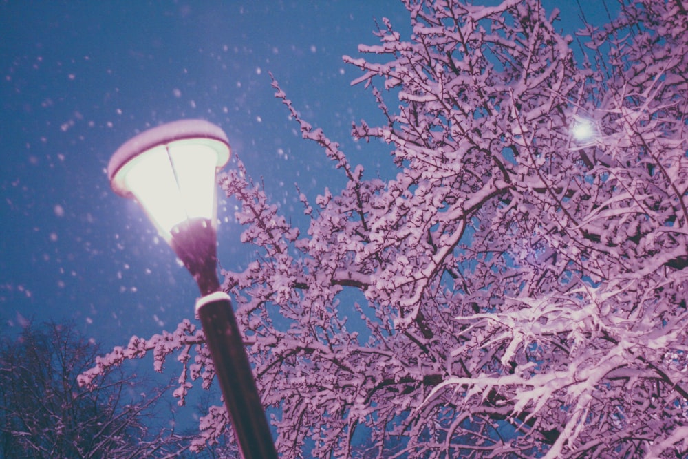 a street light in front of a tree covered in snow