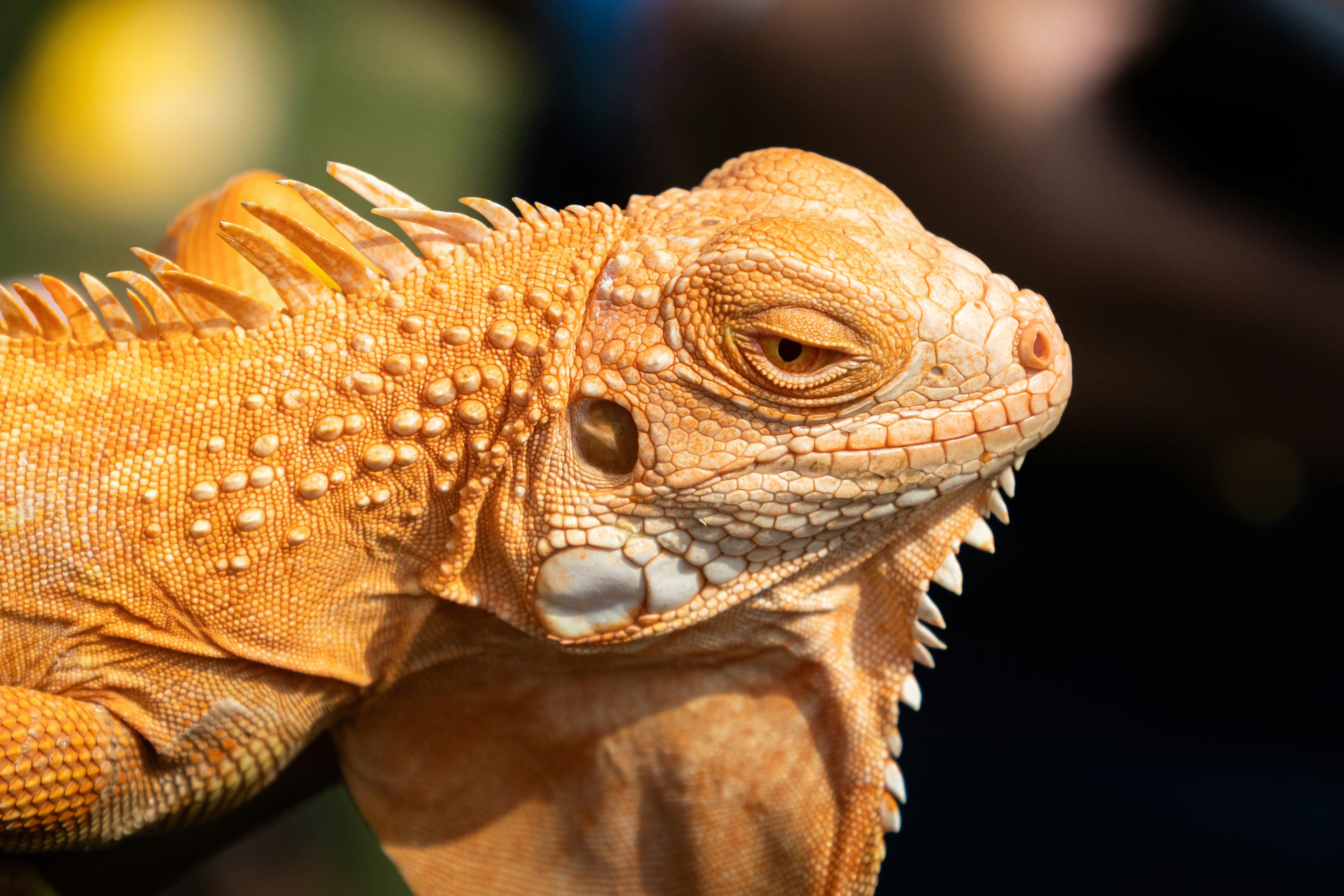 Photo by sameer_srivastava