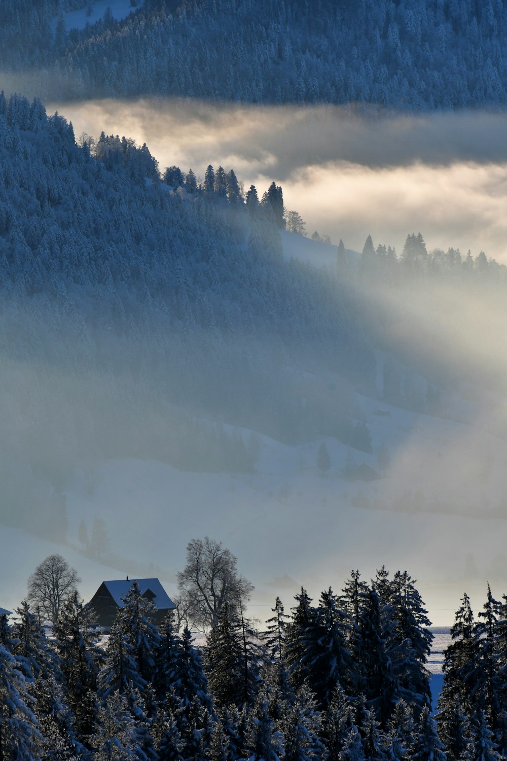 ein nebelverhangener Berg mit einem Haus im Vordergrund