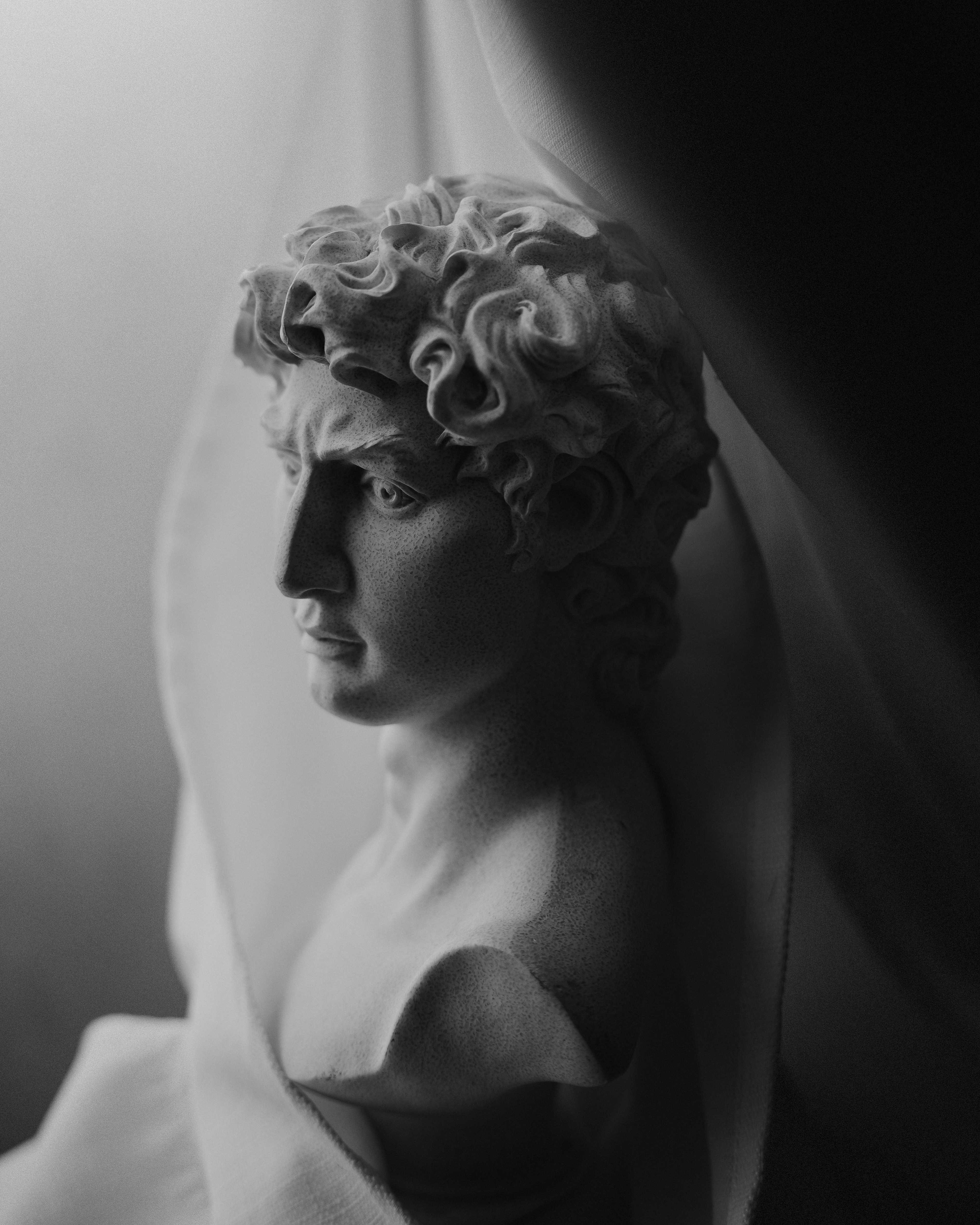 Photo by elianna_gill03