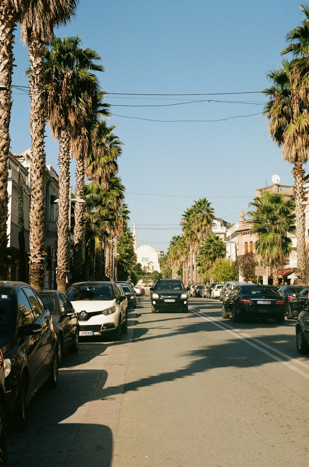 a street lined with palm trees and parked cars