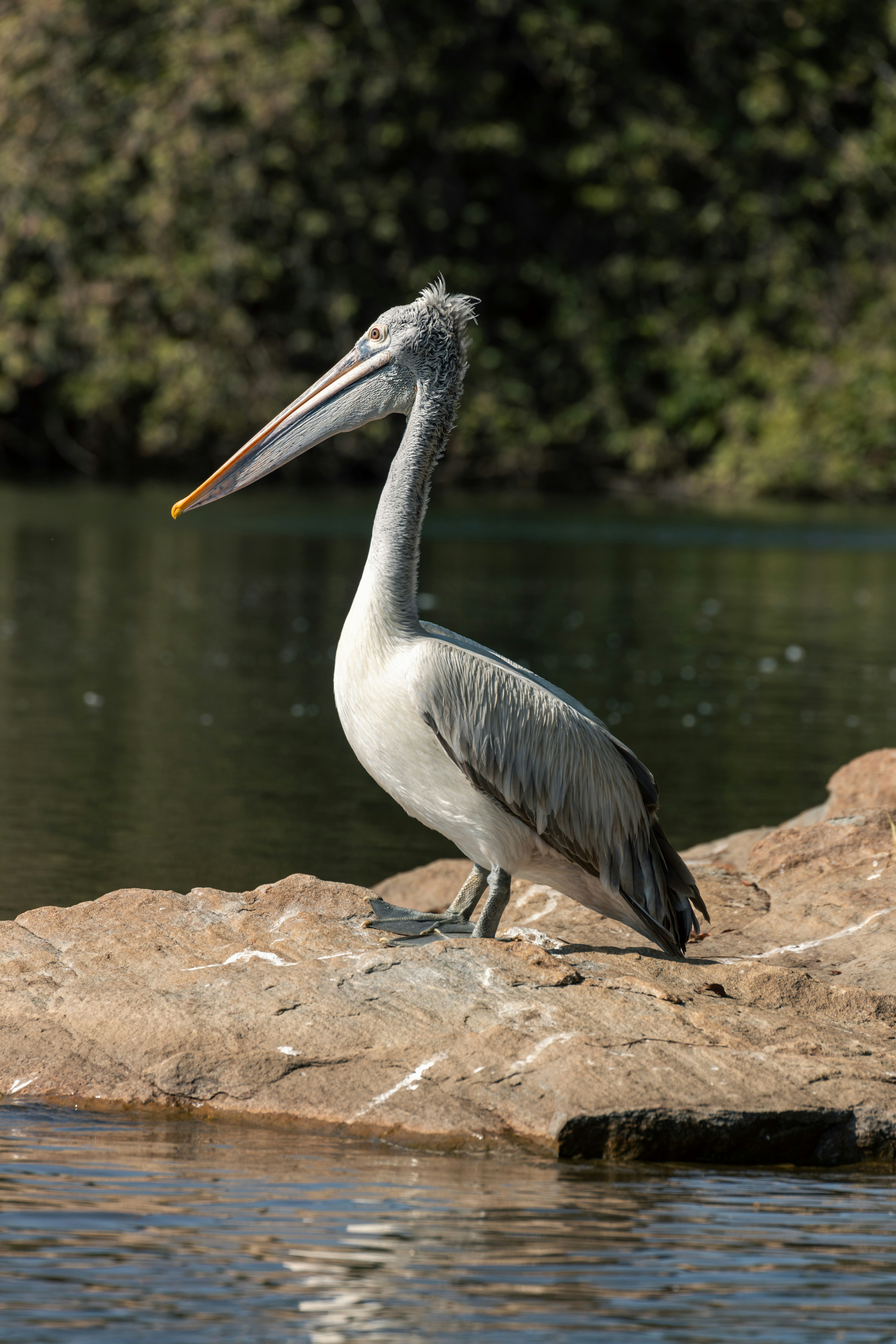 Photo by samarthkuls