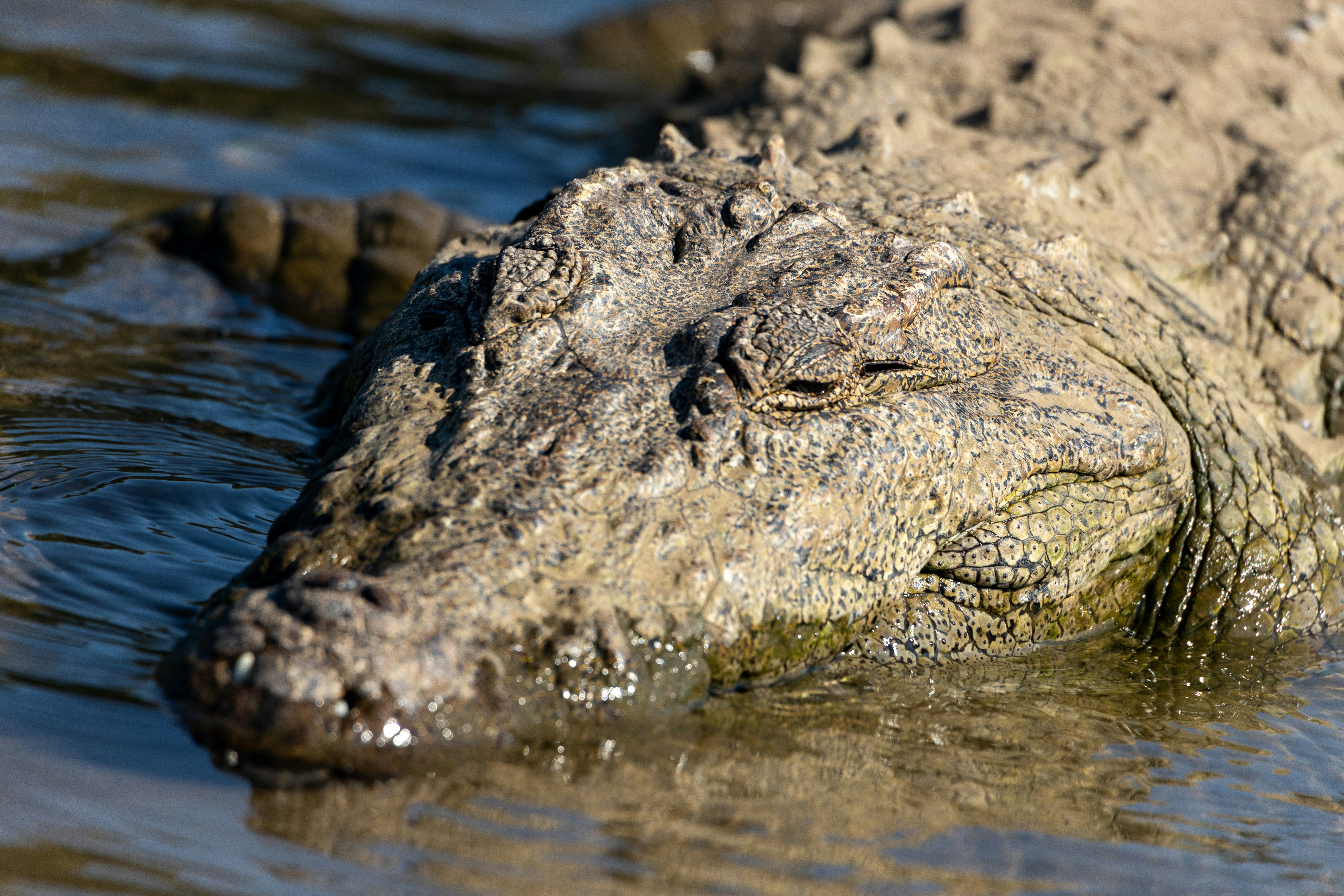 Photo by samarthkuls