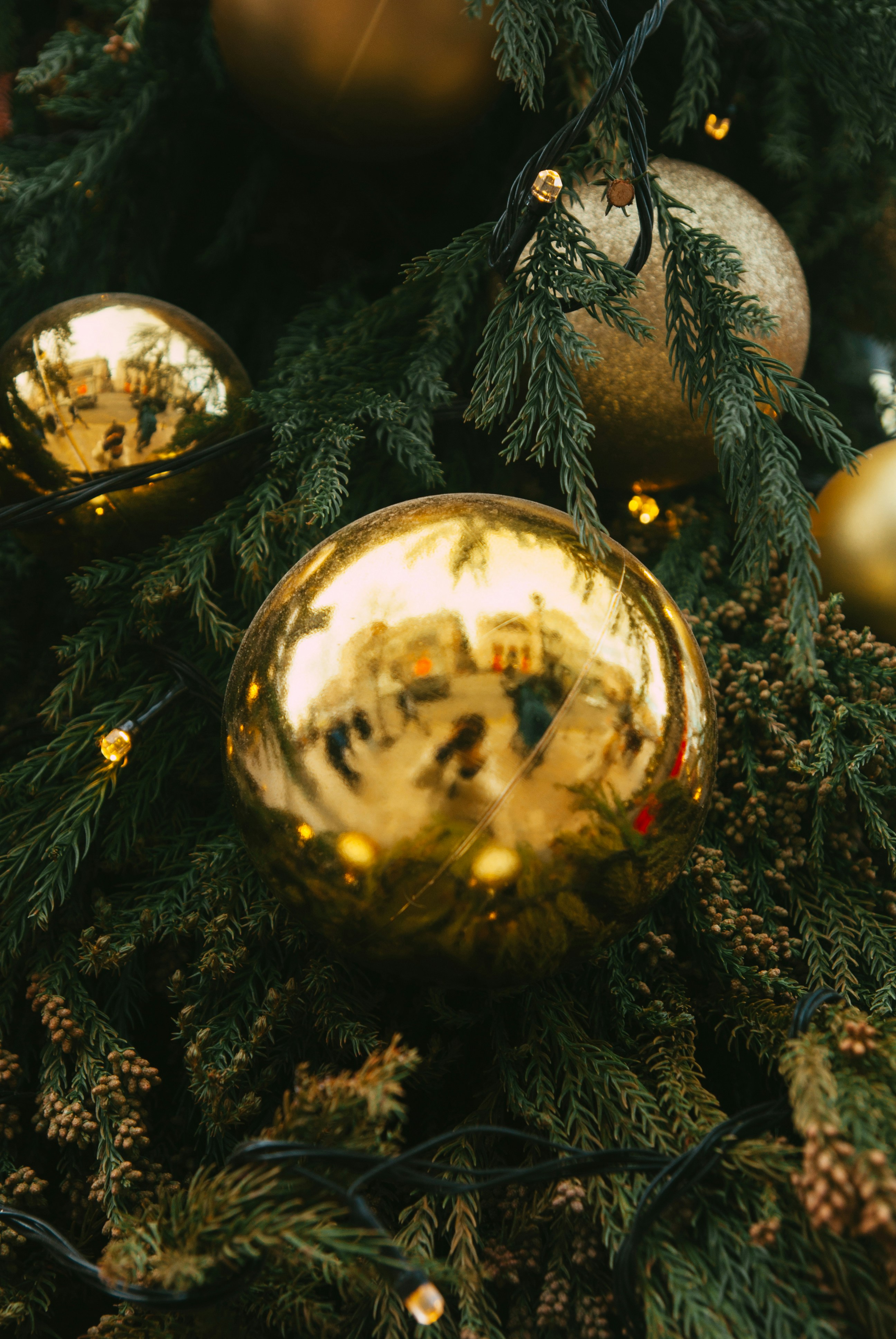 Photo by moonmoons_days