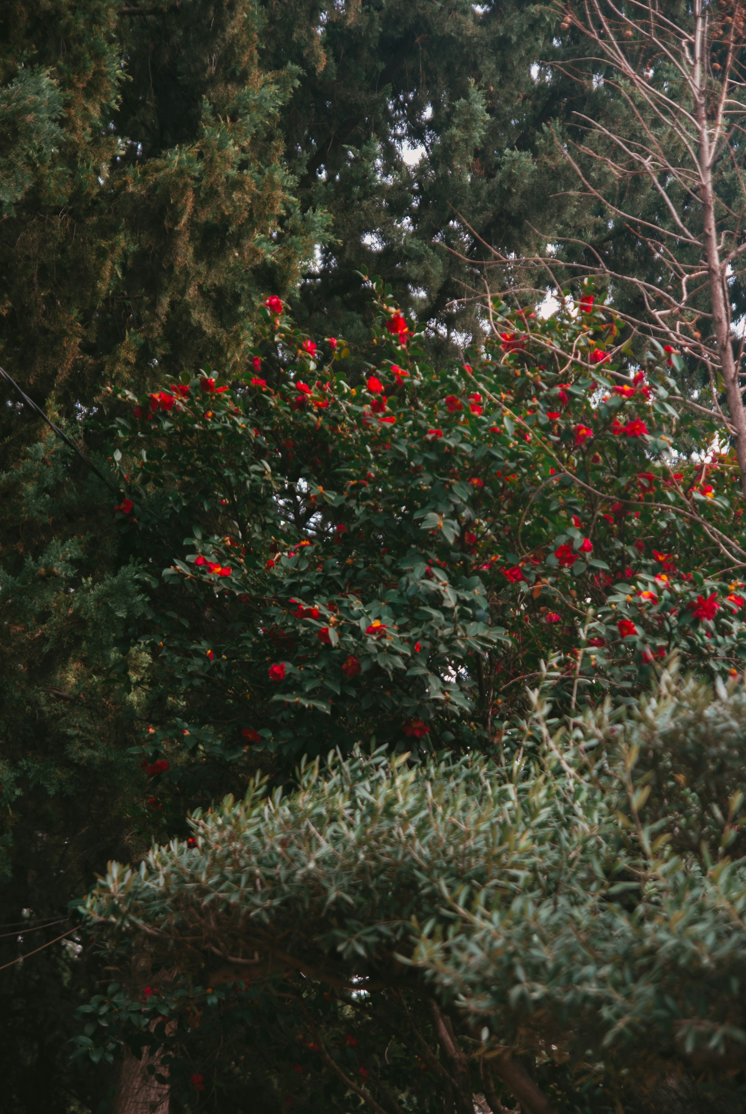 Photo by moonmoons_days