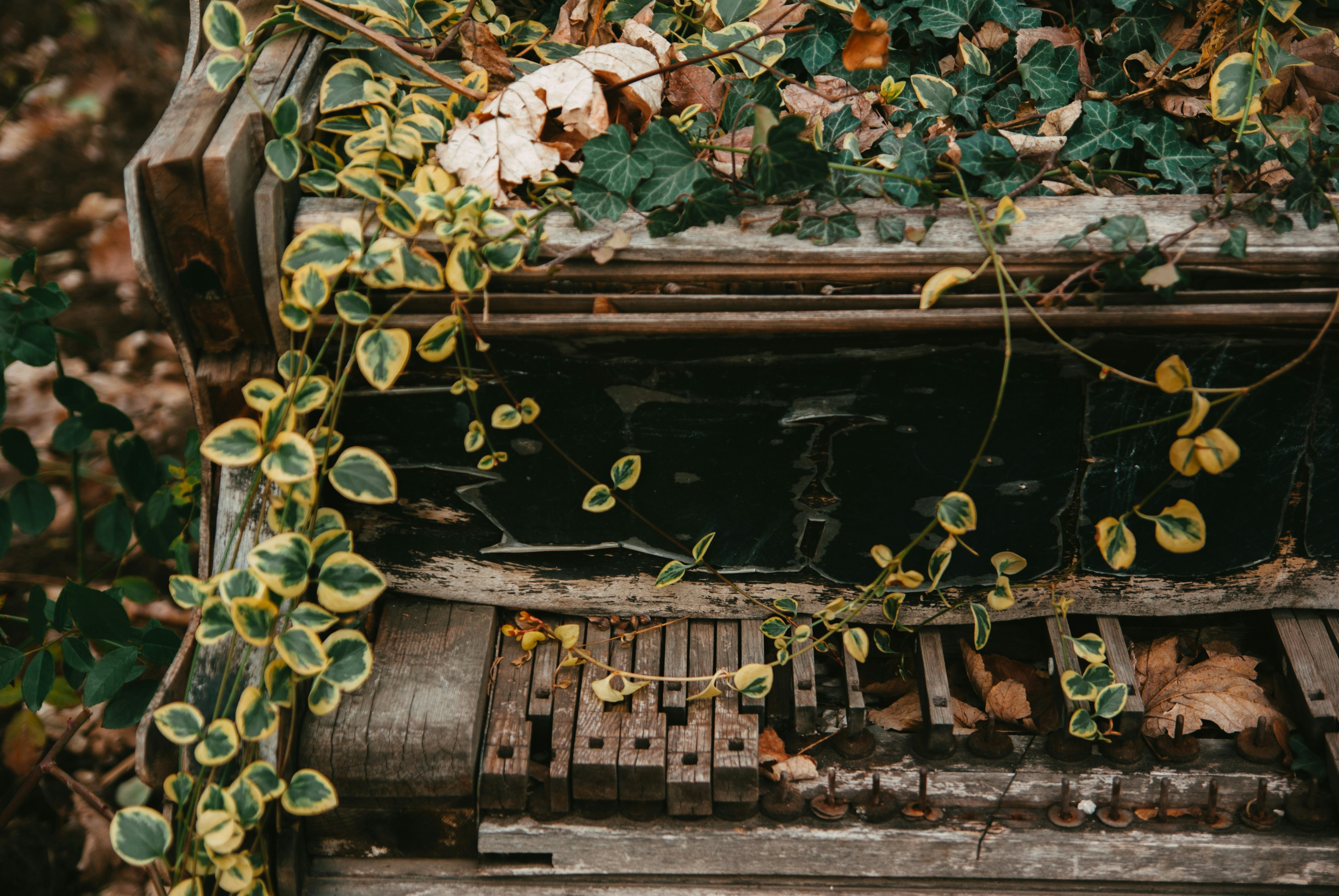 Photo by moonmoons_days