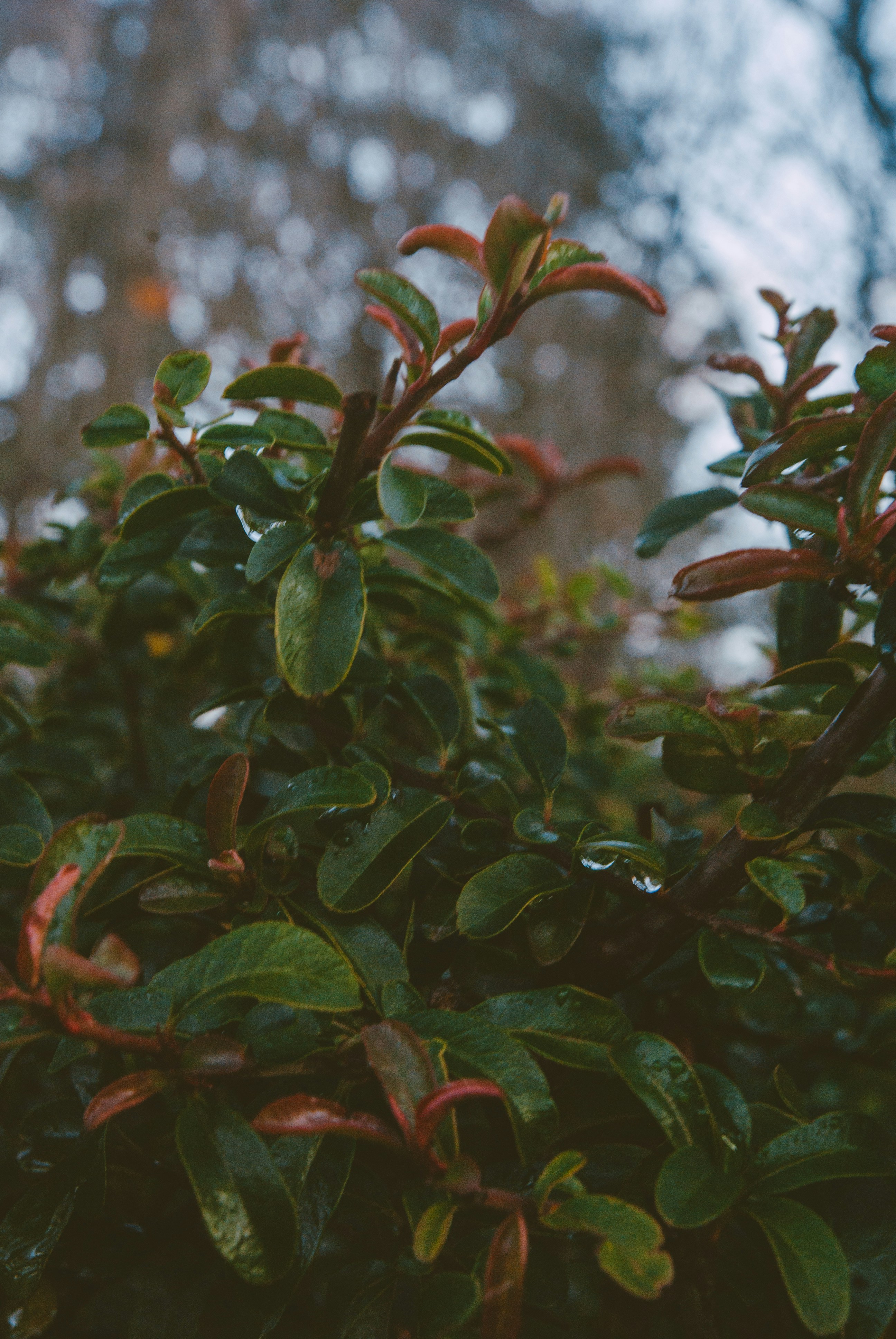 Photo by moonmoons_days