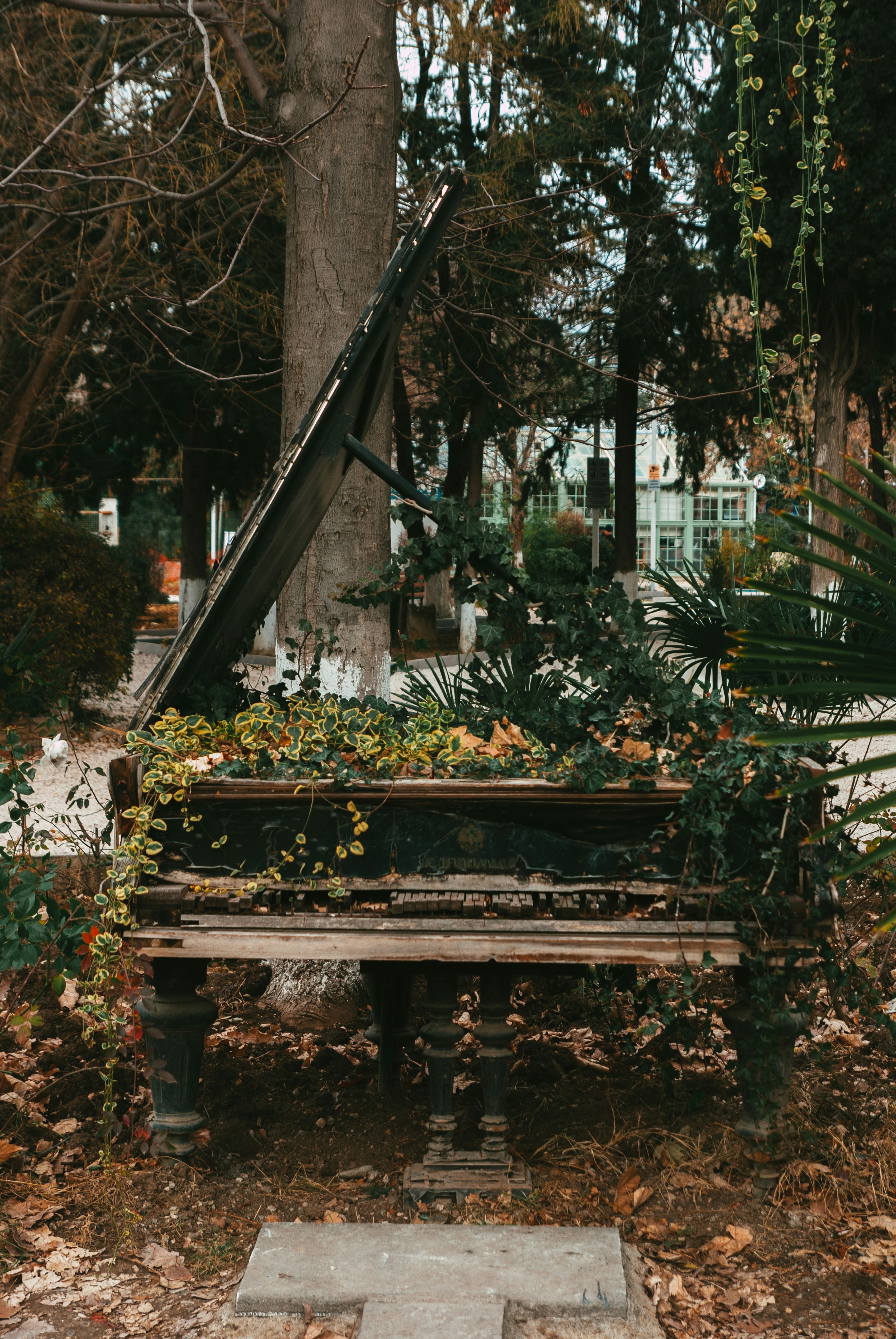 Photo by moonmoons_days