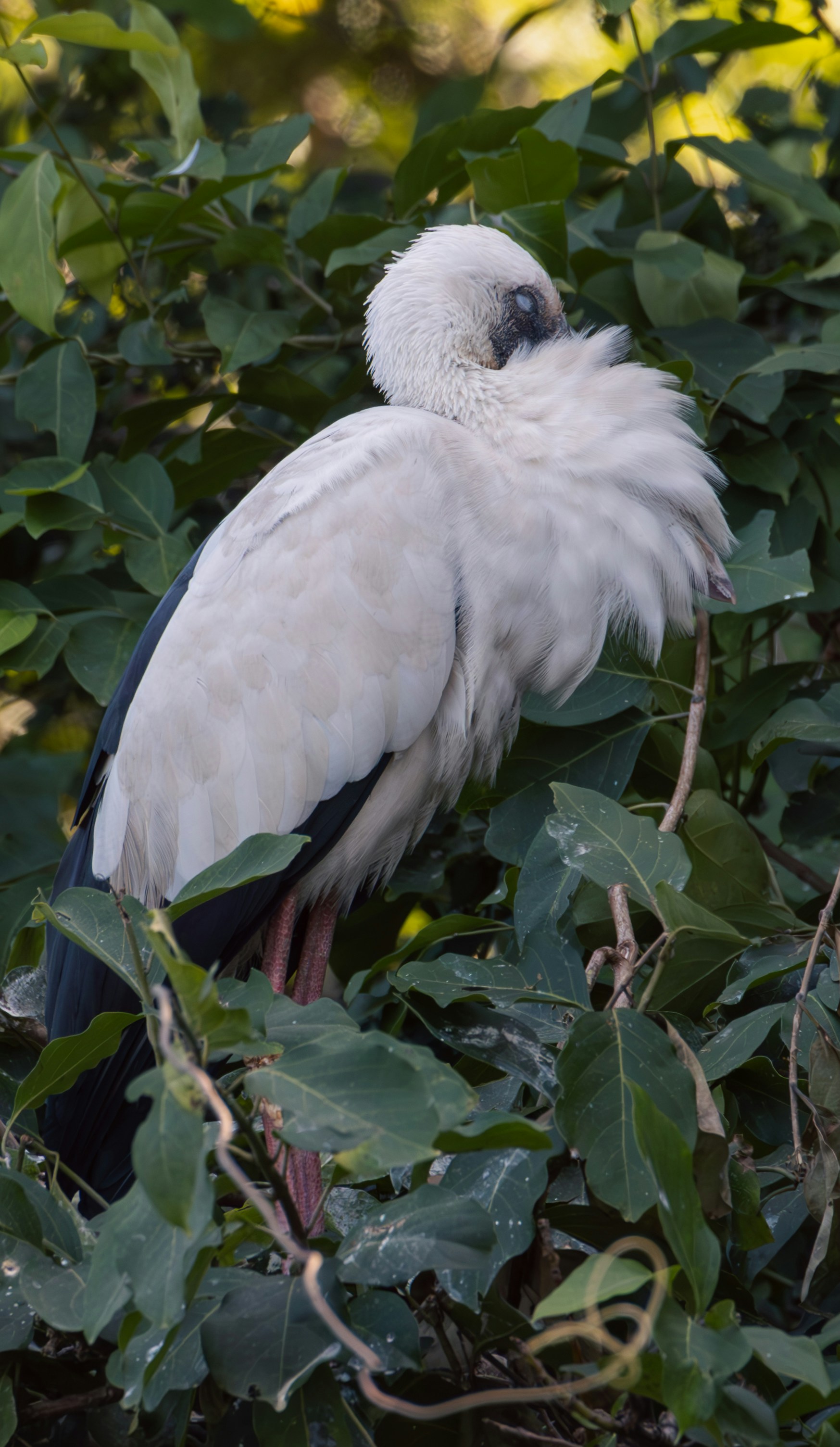 Photo by samarthkuls