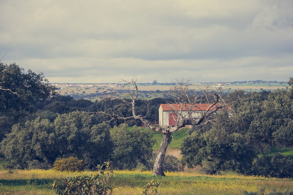 a house in the middle of a field surrounded by trees