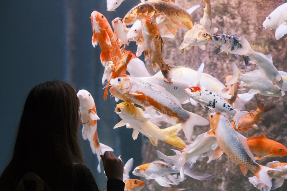 a woman is looking at a large group of fish