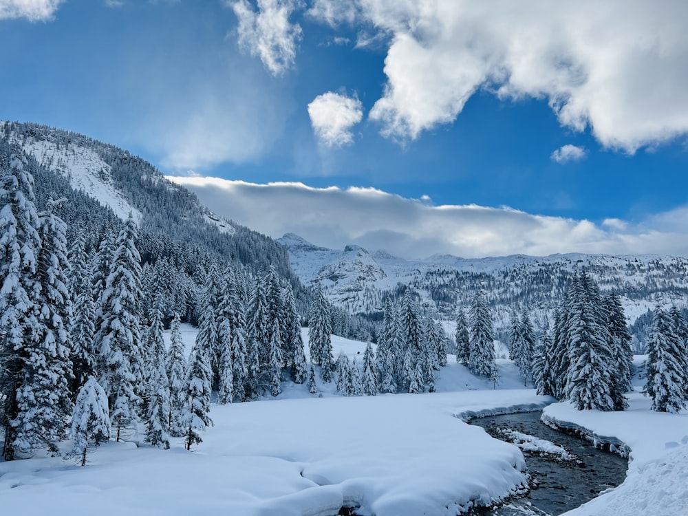 a river running through a snow covered forest