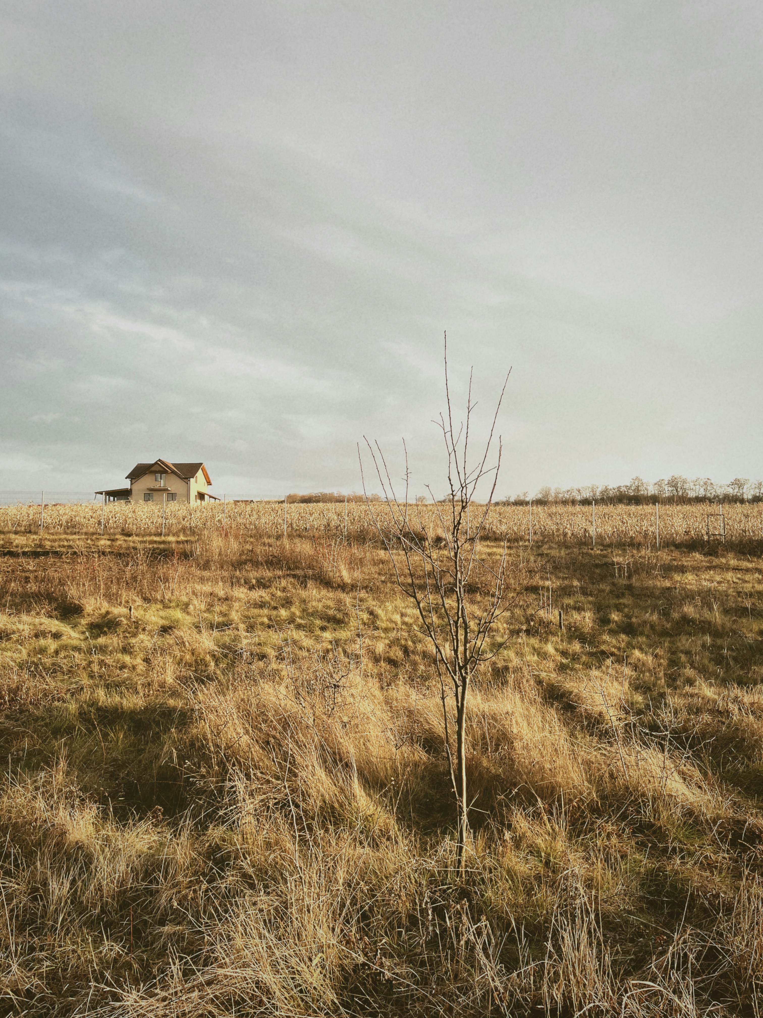 Photo by andreeamhl
