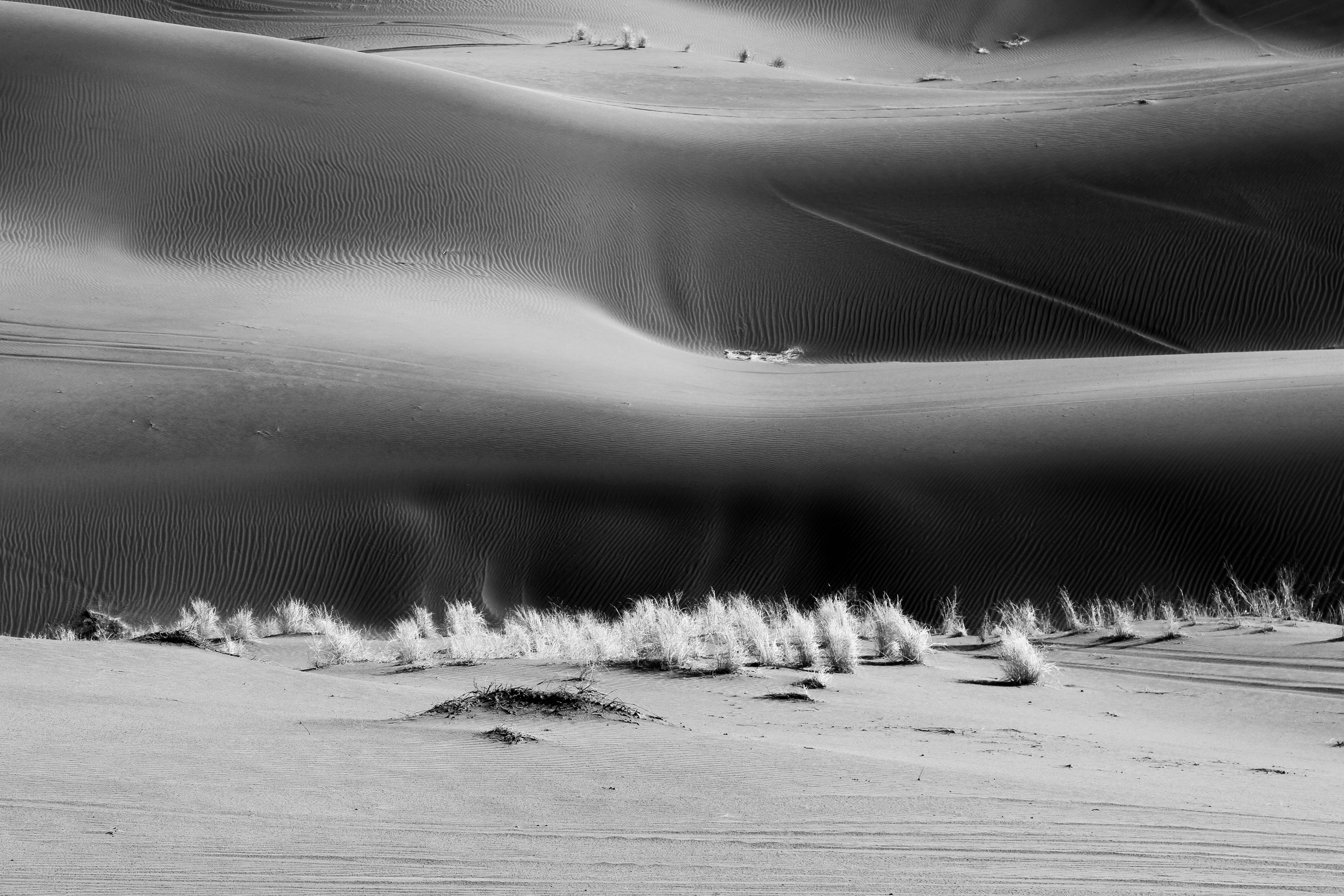 Photo by mokhalad