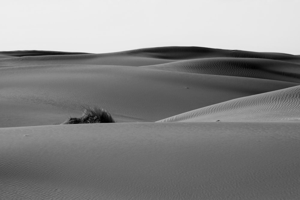 a black and white photo of a desert