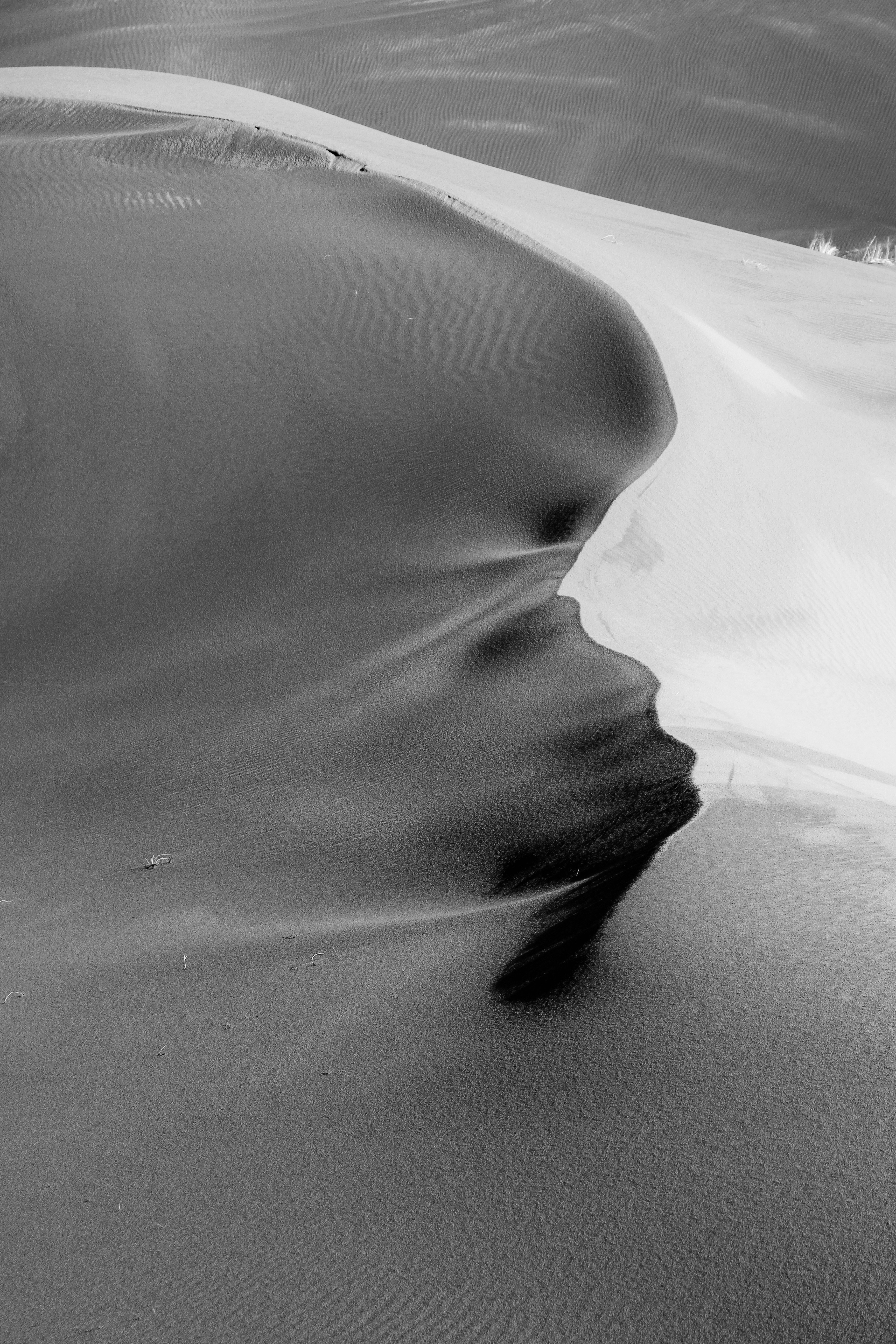 Photo by mokhalad