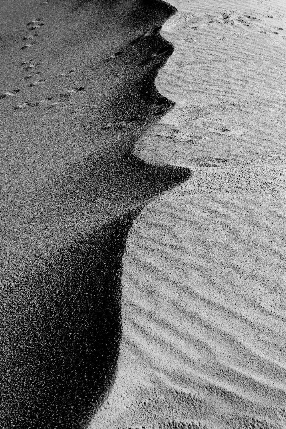 a black and white photo of footprints in the sand