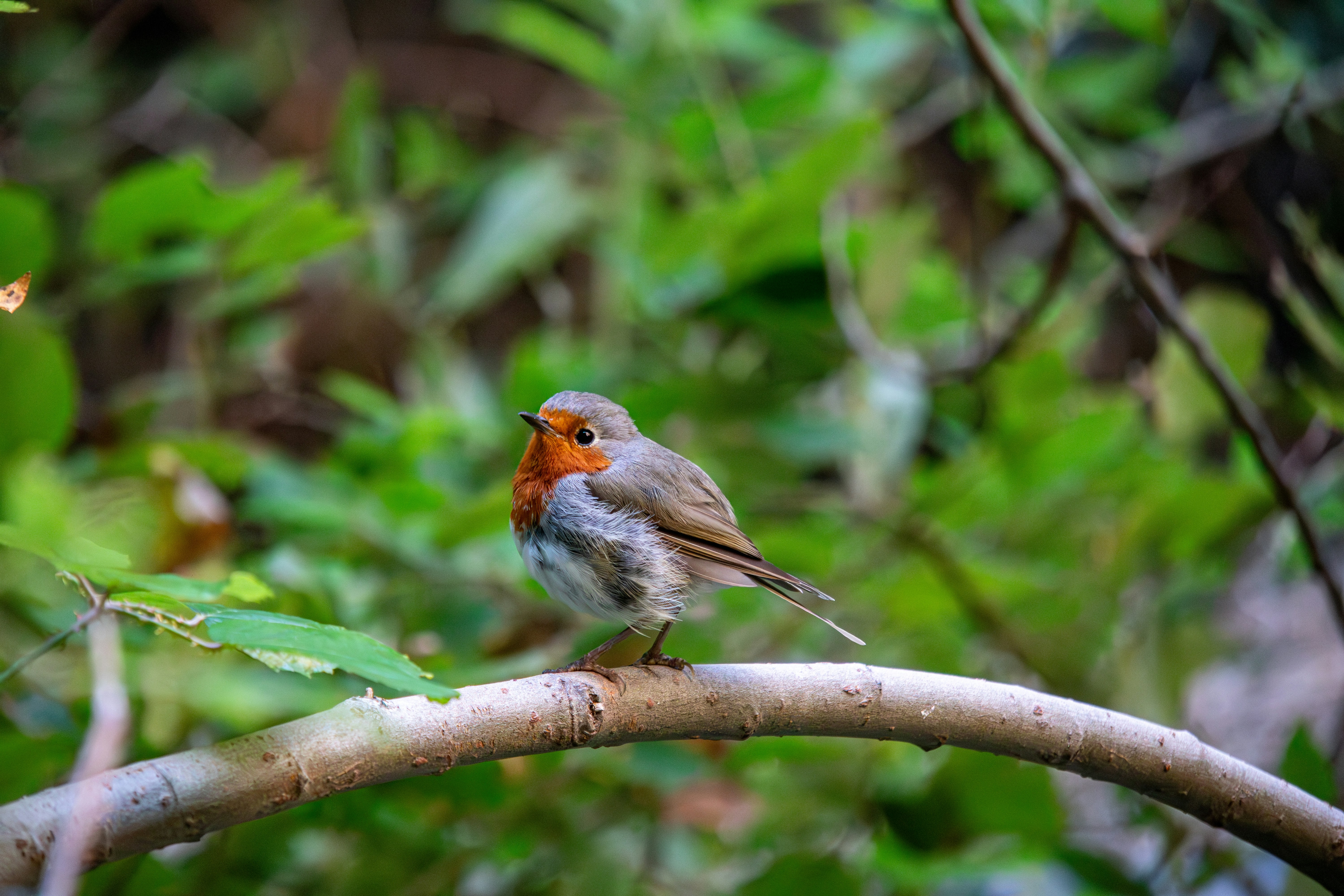 Photo by picsbysophie