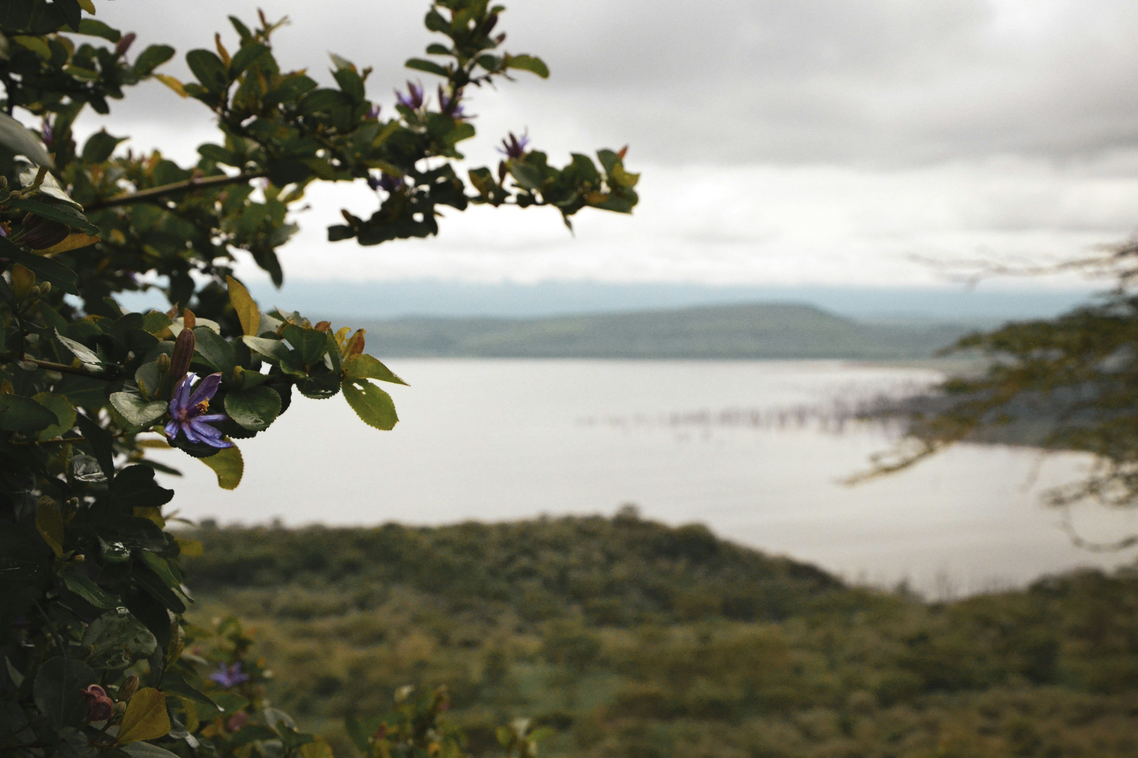 Lake Bogoria Hotel