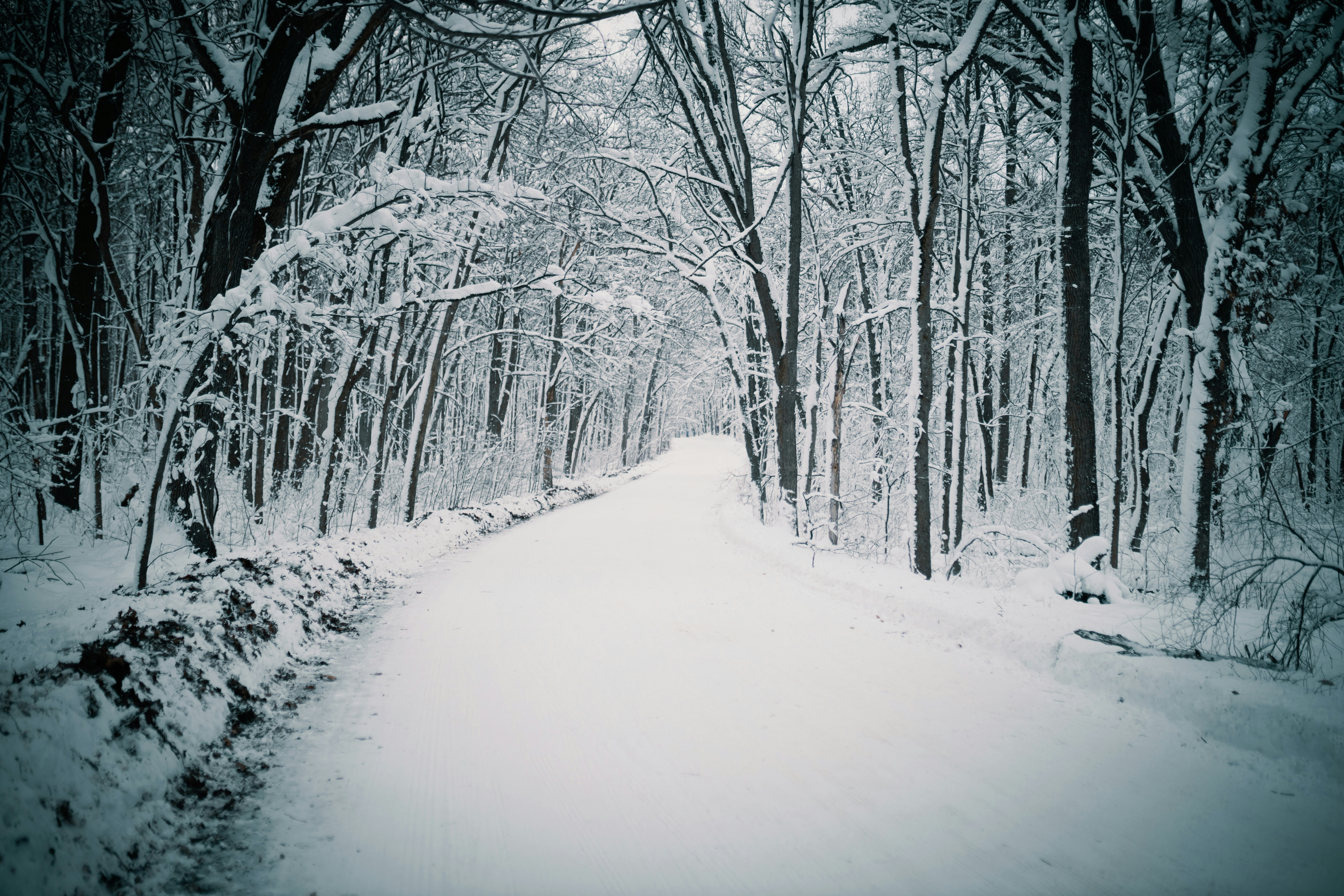 Photo by joshsorenson