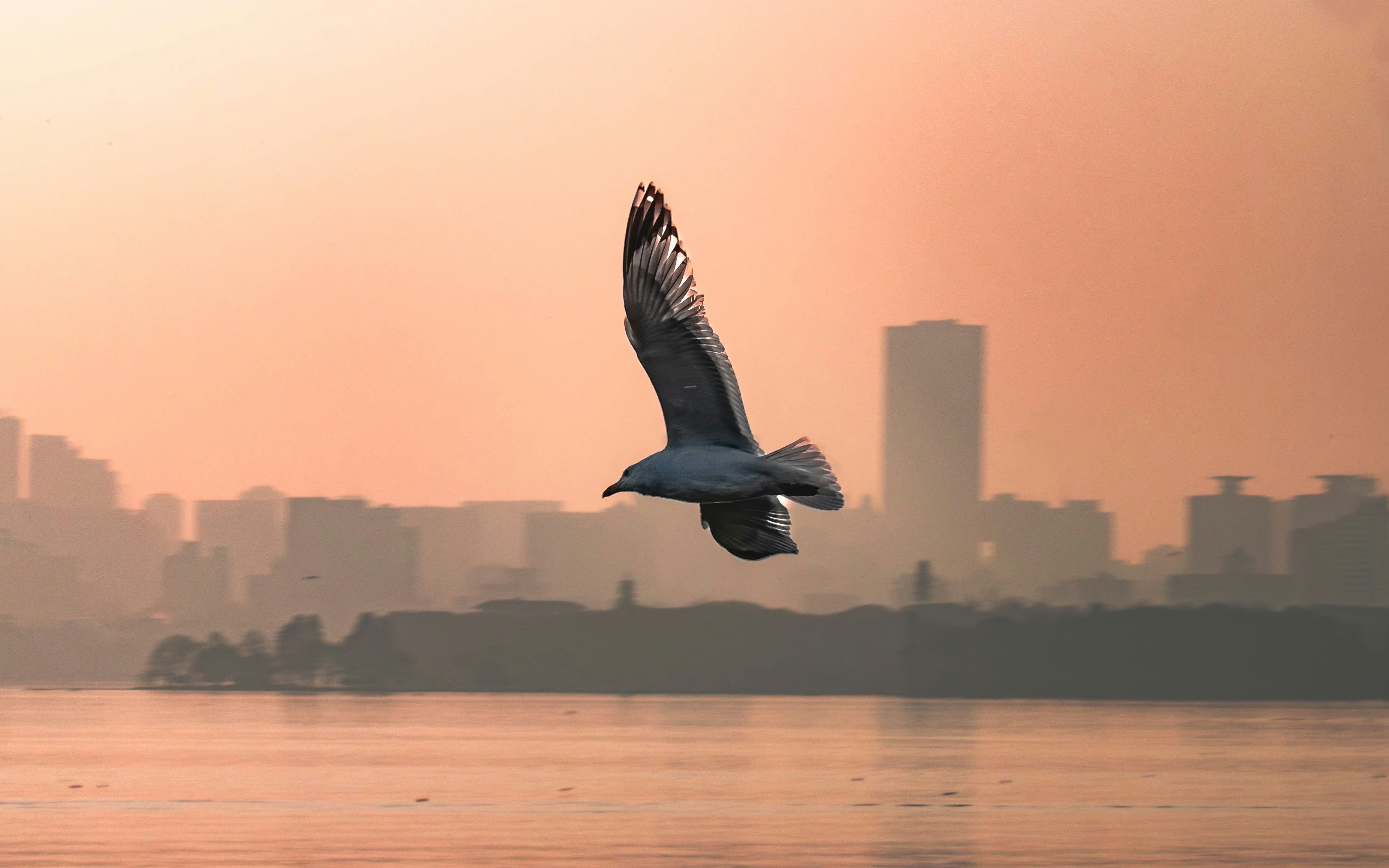 Photo by excellentcx