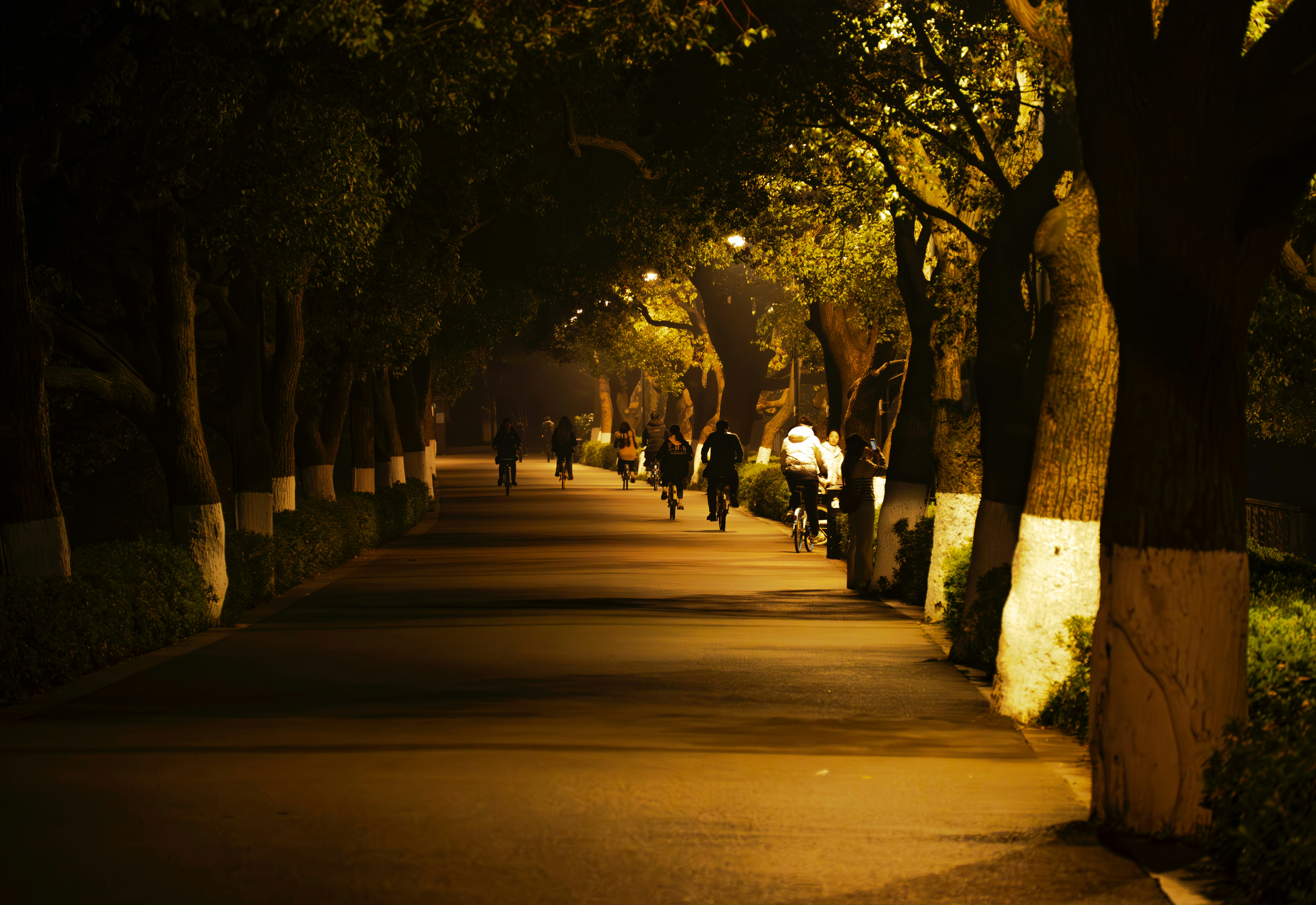 Photo by excellentcx