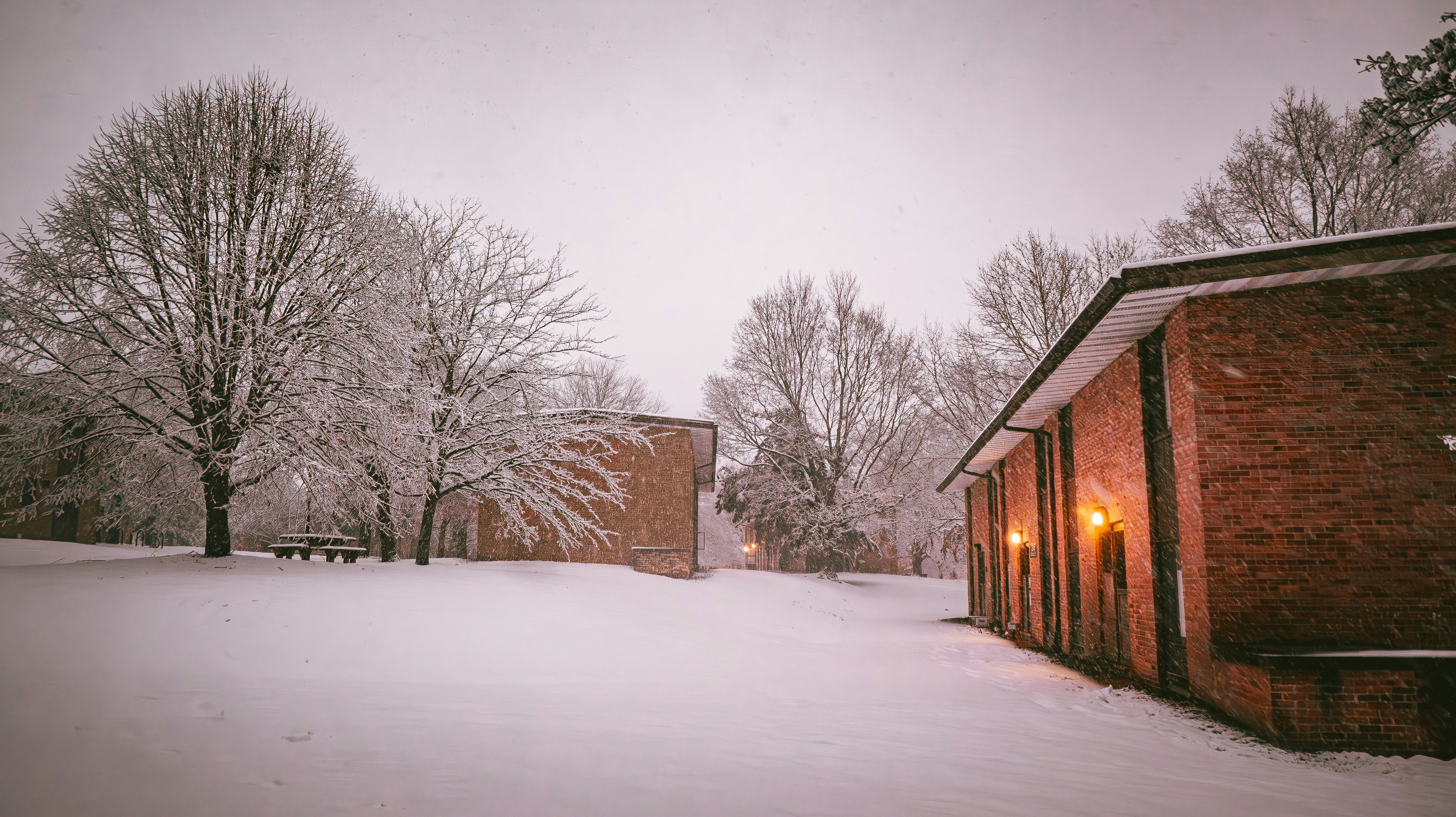 Photo by rigel_s_lens