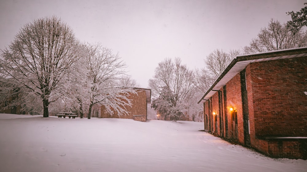 a snowy street with a red brick building and trees