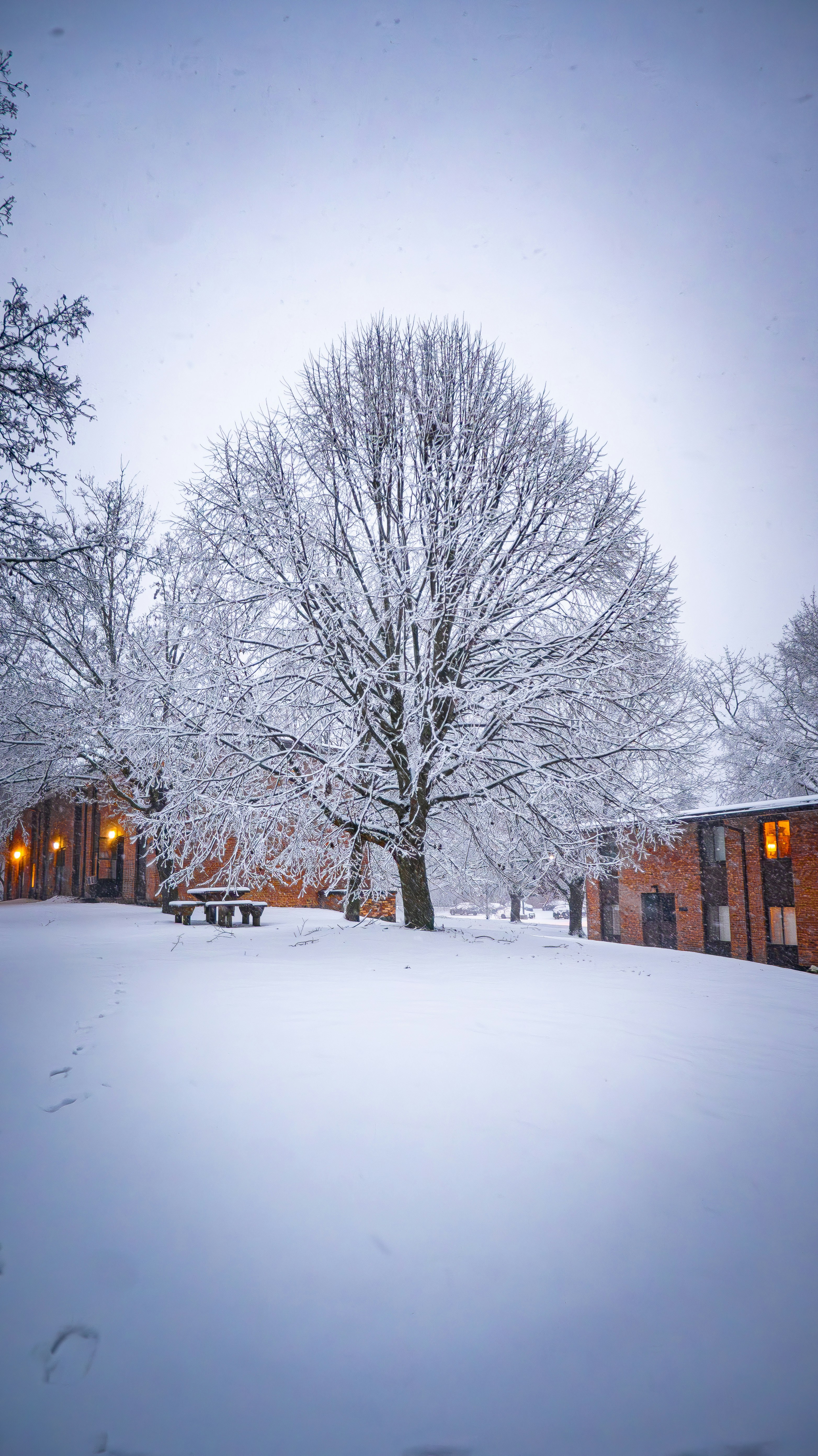 Photo by rigel_s_lens