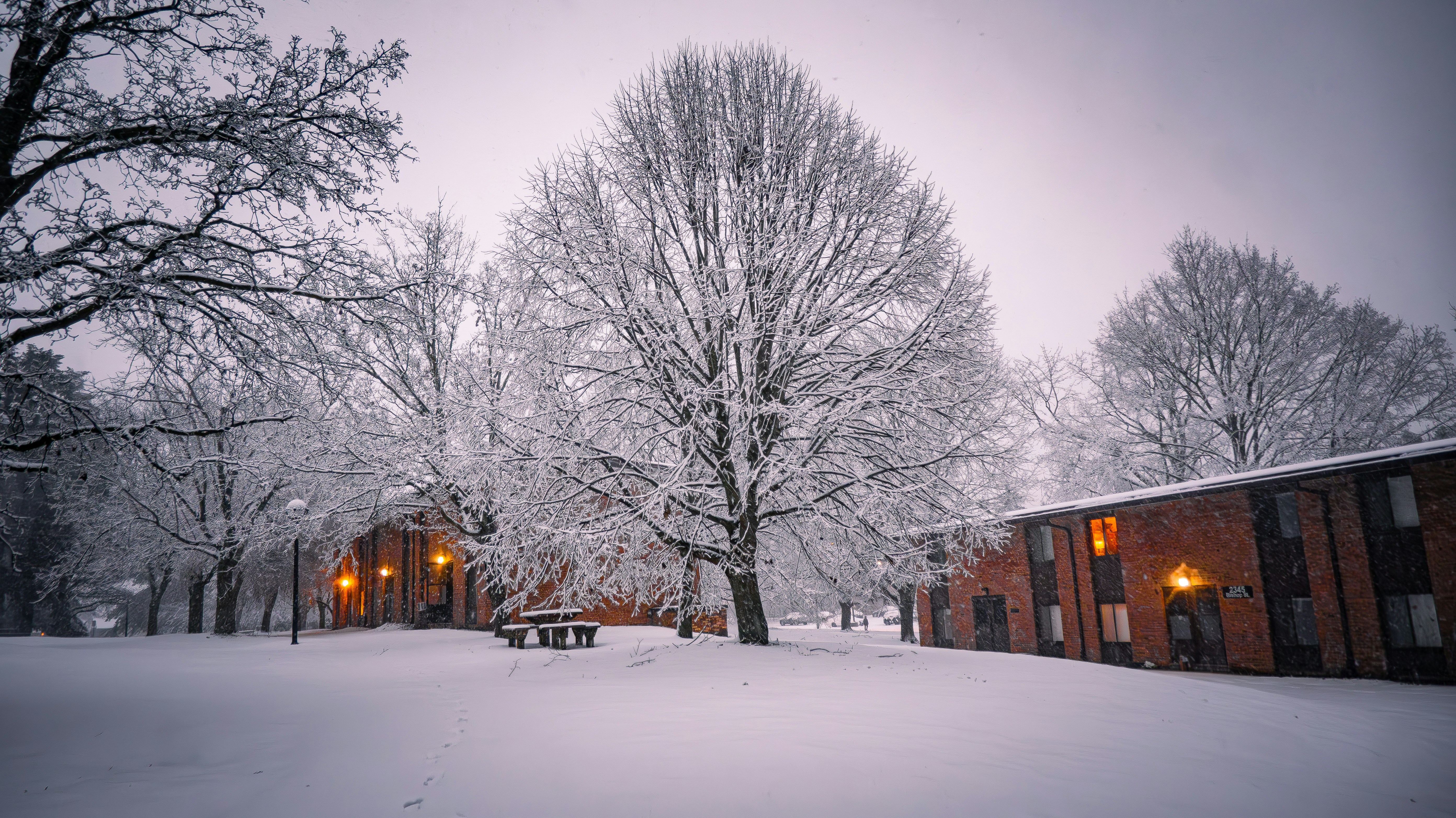 Photo by rigel_s_lens