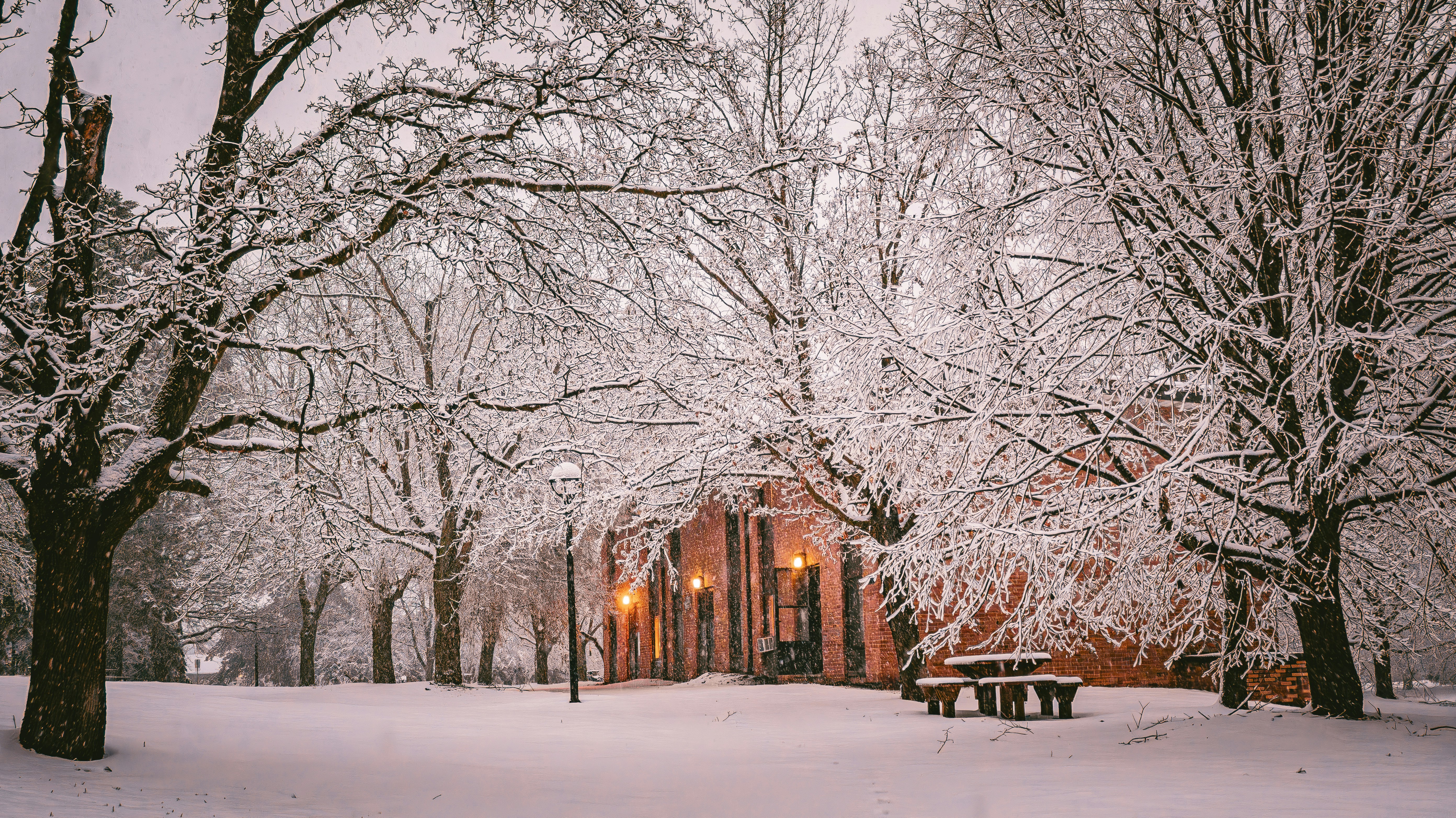 Photo by rigel_s_lens