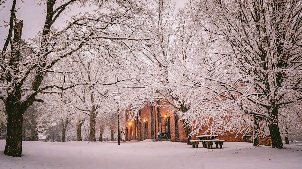 a snow covered park with benches and trees