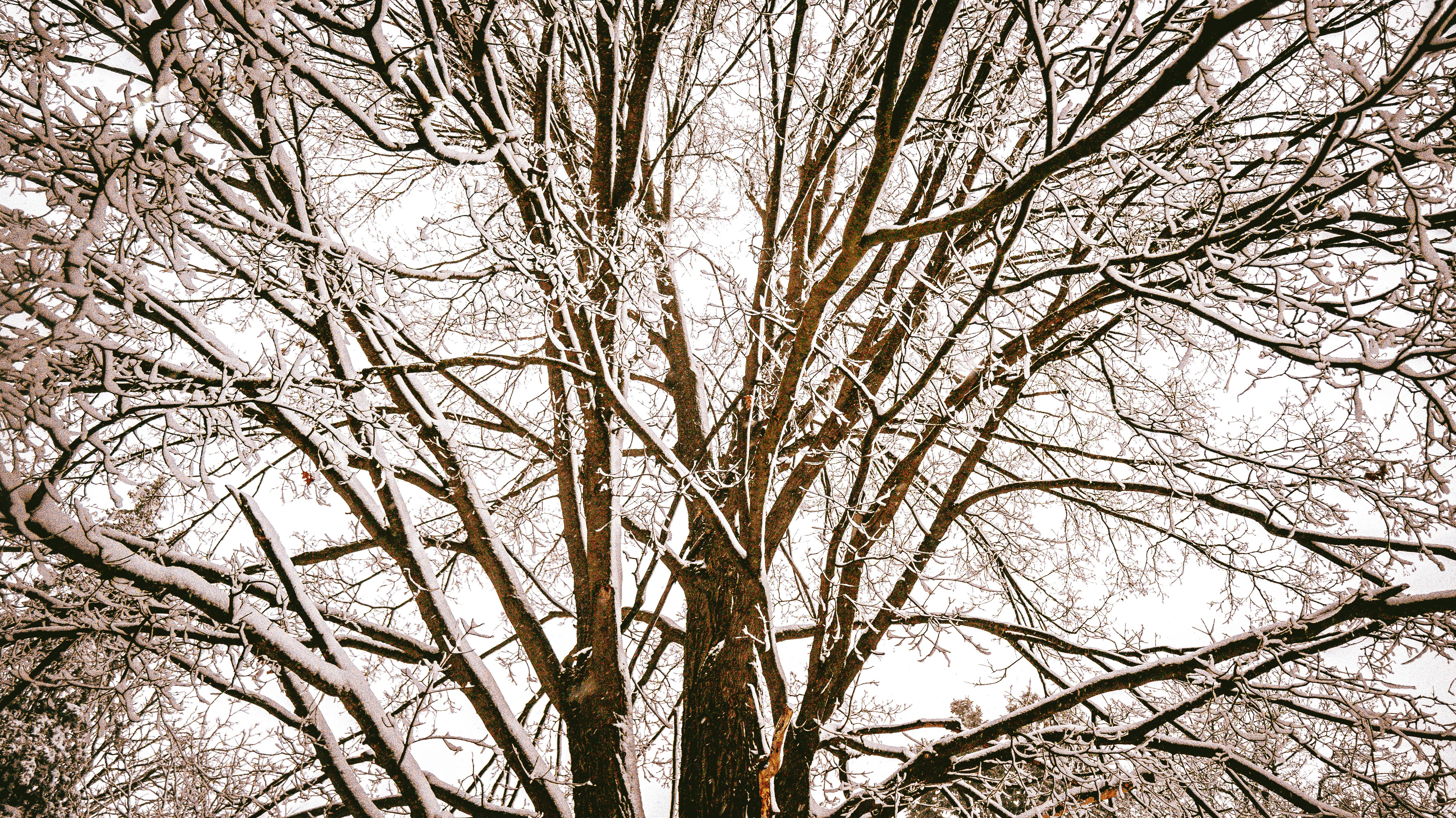 Photo by rigel_s_lens