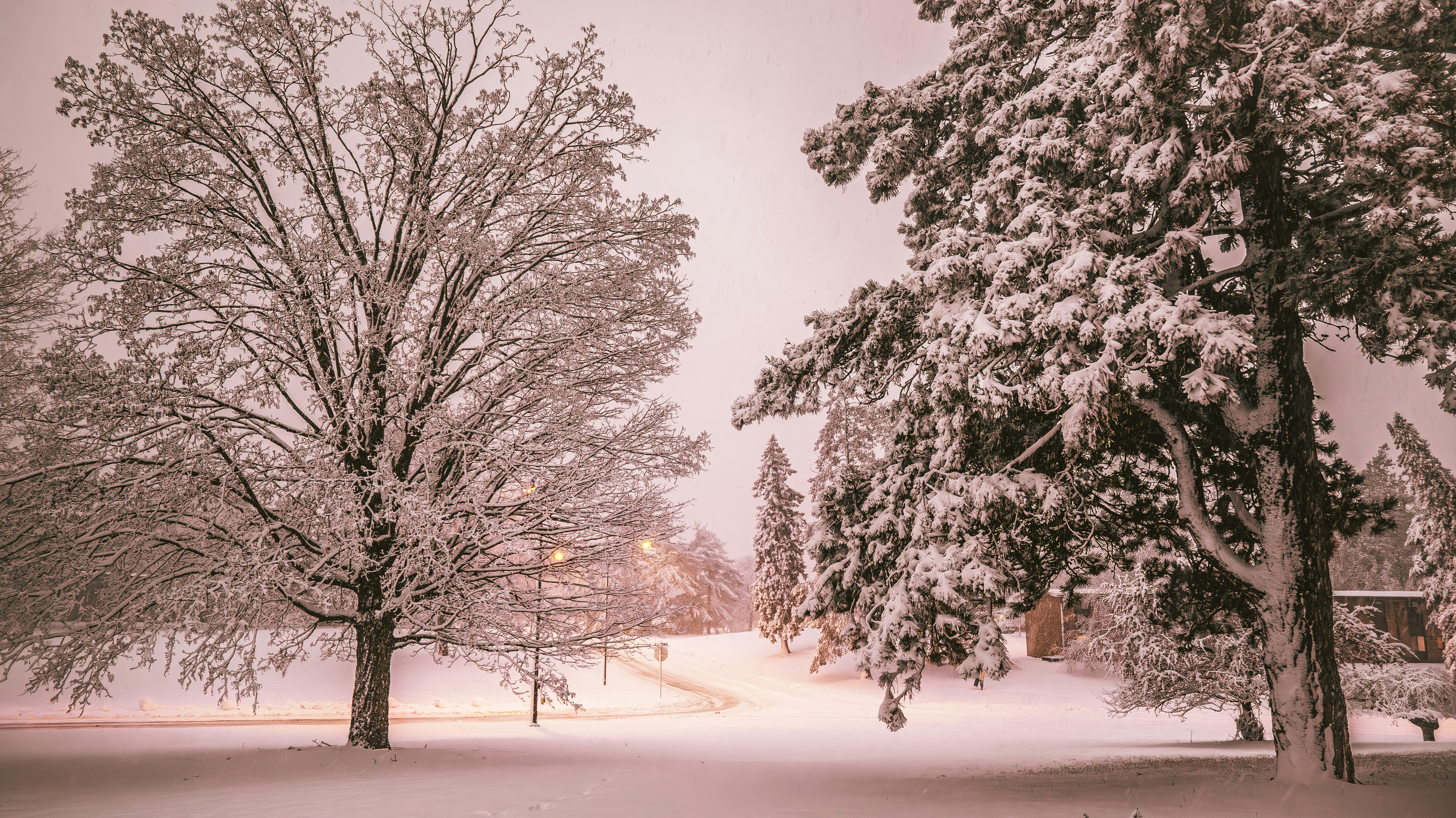 Photo by rigel_s_lens