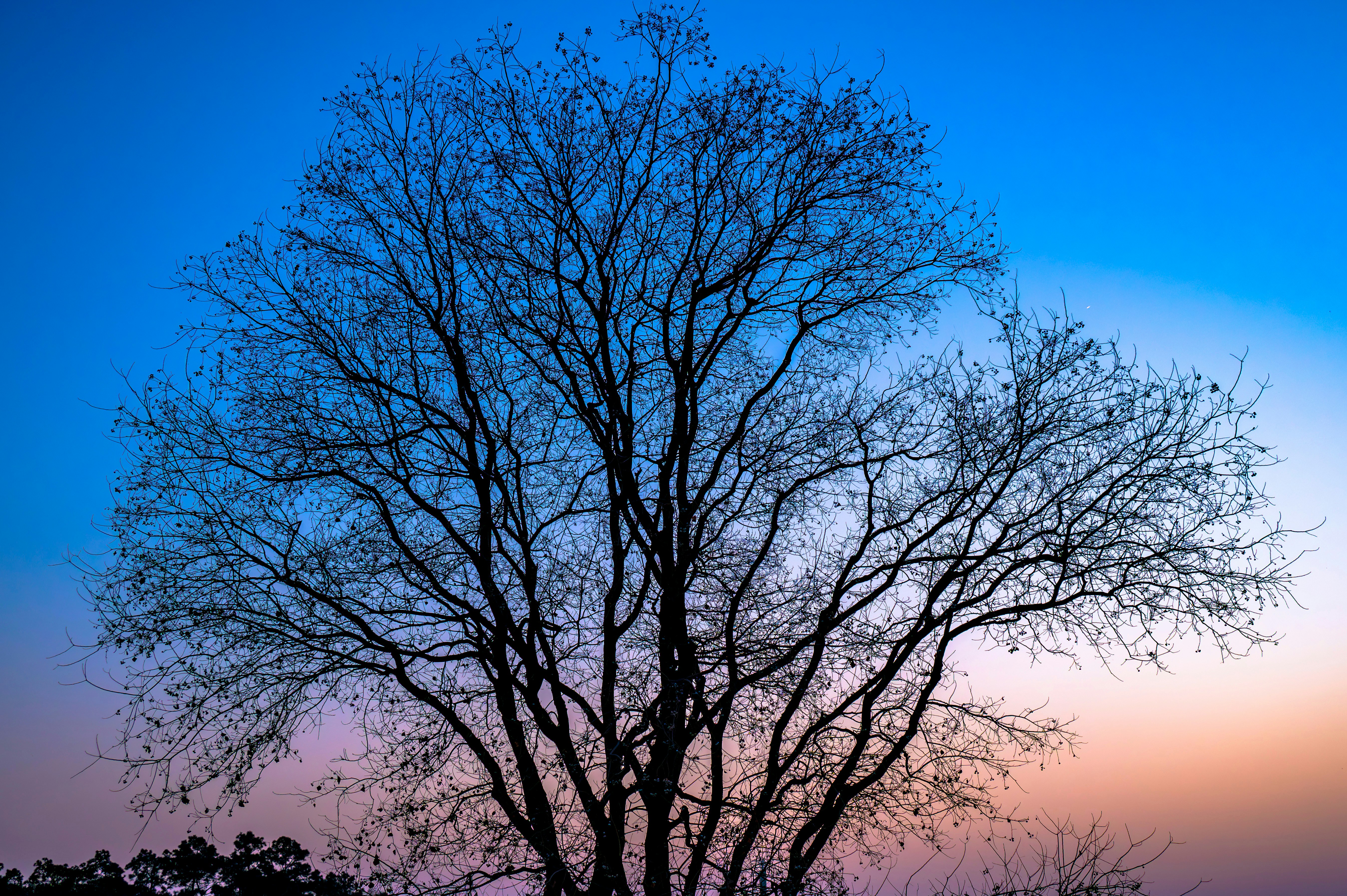 Photo by excellentcx