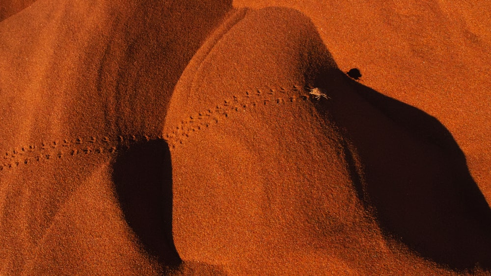 footprints in the sand of a sandy beach