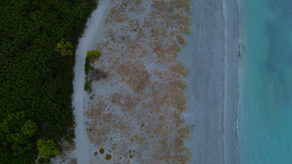 an aerial view of a beach and a forest