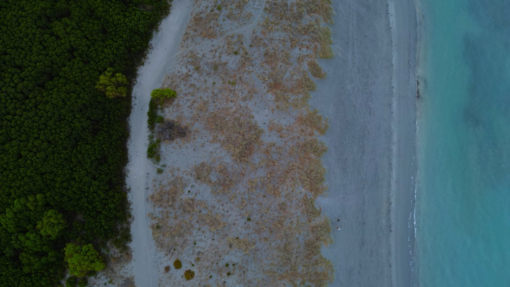 Una vista aérea de una playa y un bosque