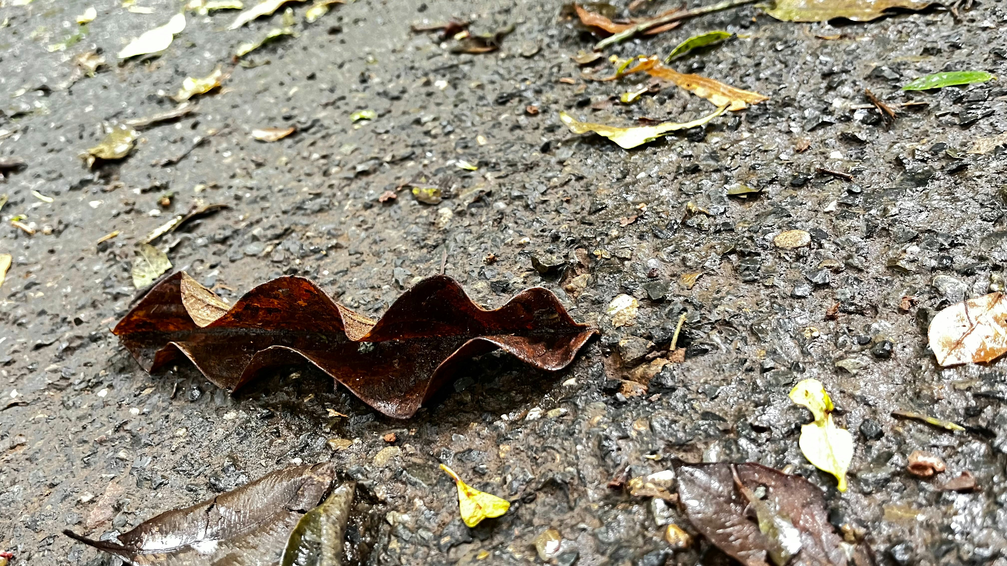 Photo by felicity1983