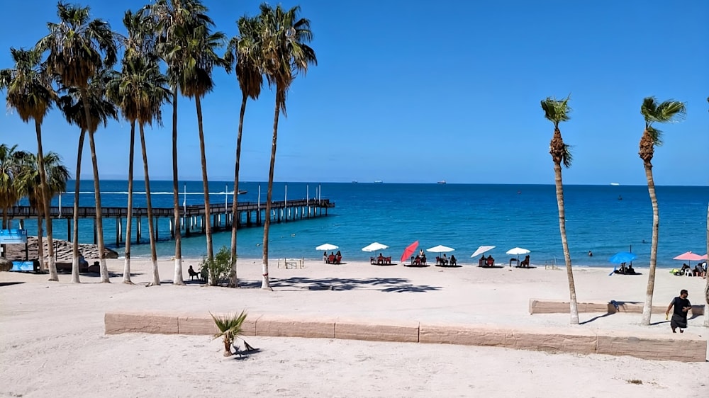 a beach with palm trees and a pier in the background