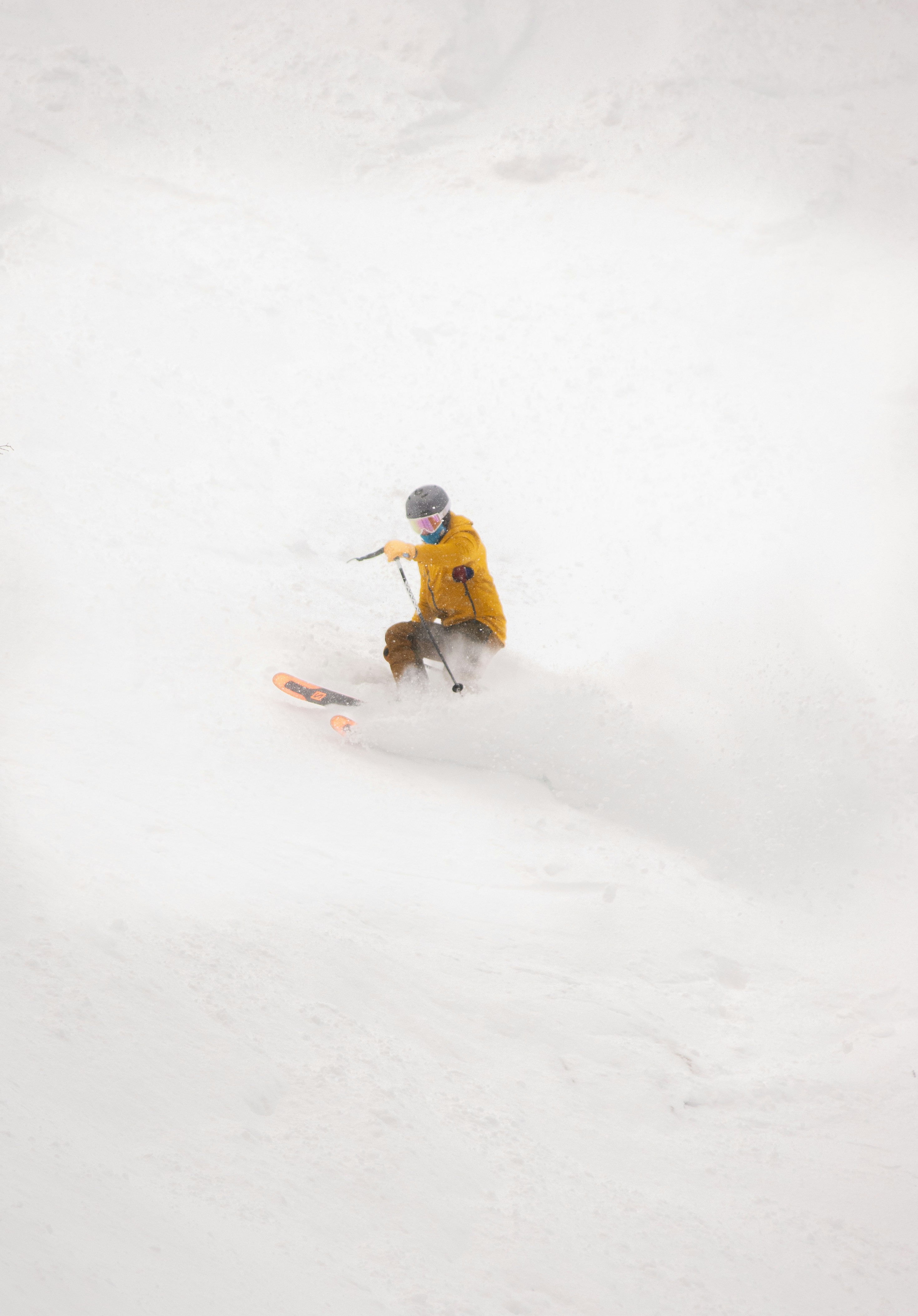 Photo by alexmoliski