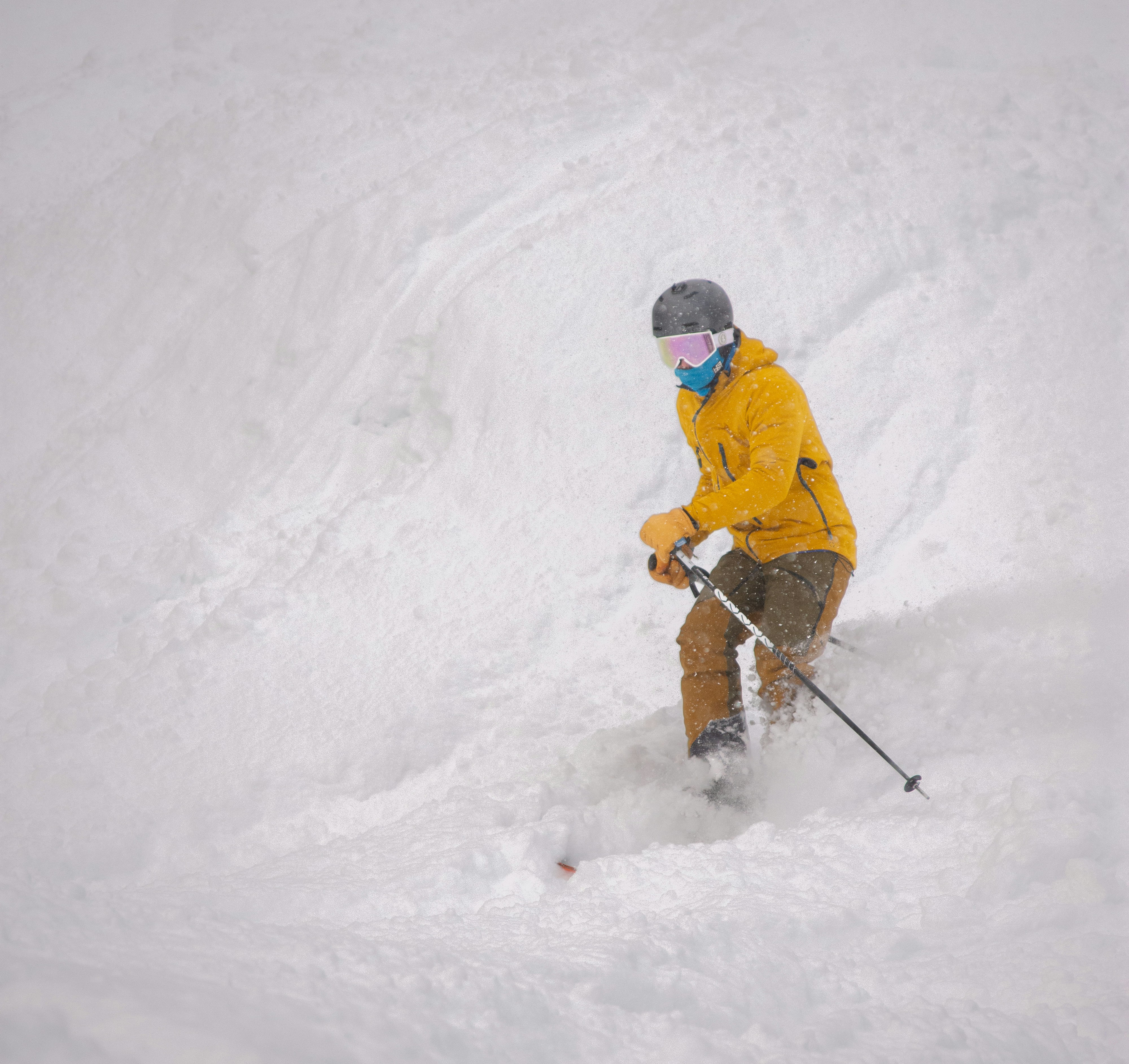 Photo by alexmoliski